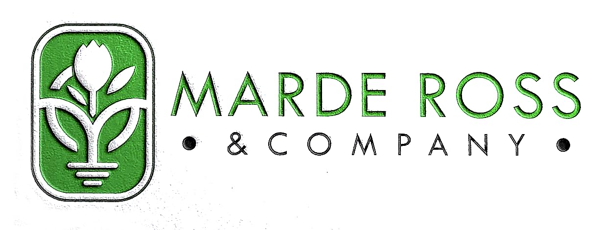 Armenian Striped Snake Cucumber Seeds - 75+ Seeds…
