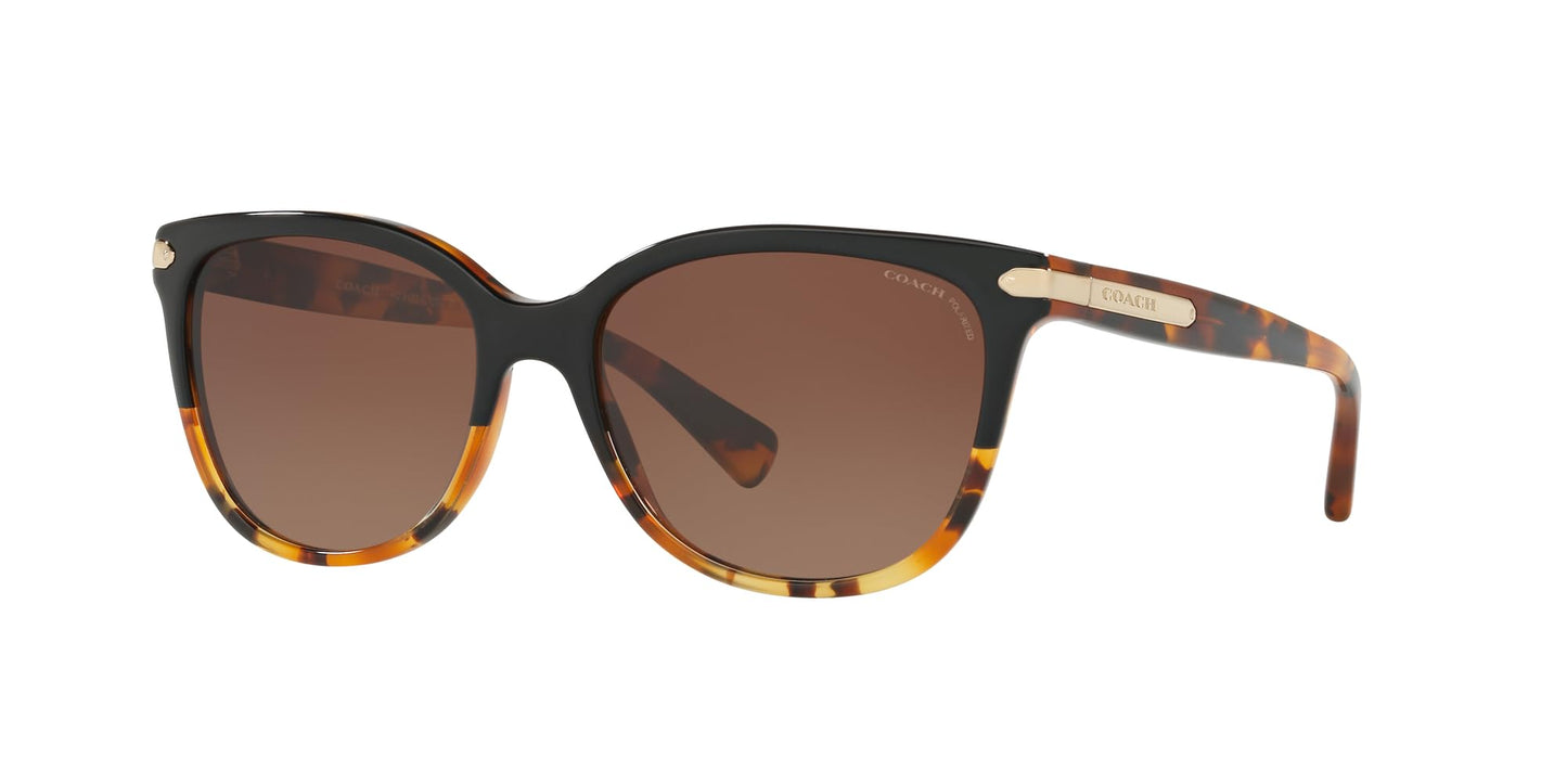 COACH HC8132 Sunglasses, Black Tortoise Gradient/Brown Gradient Polarized, 57 mm