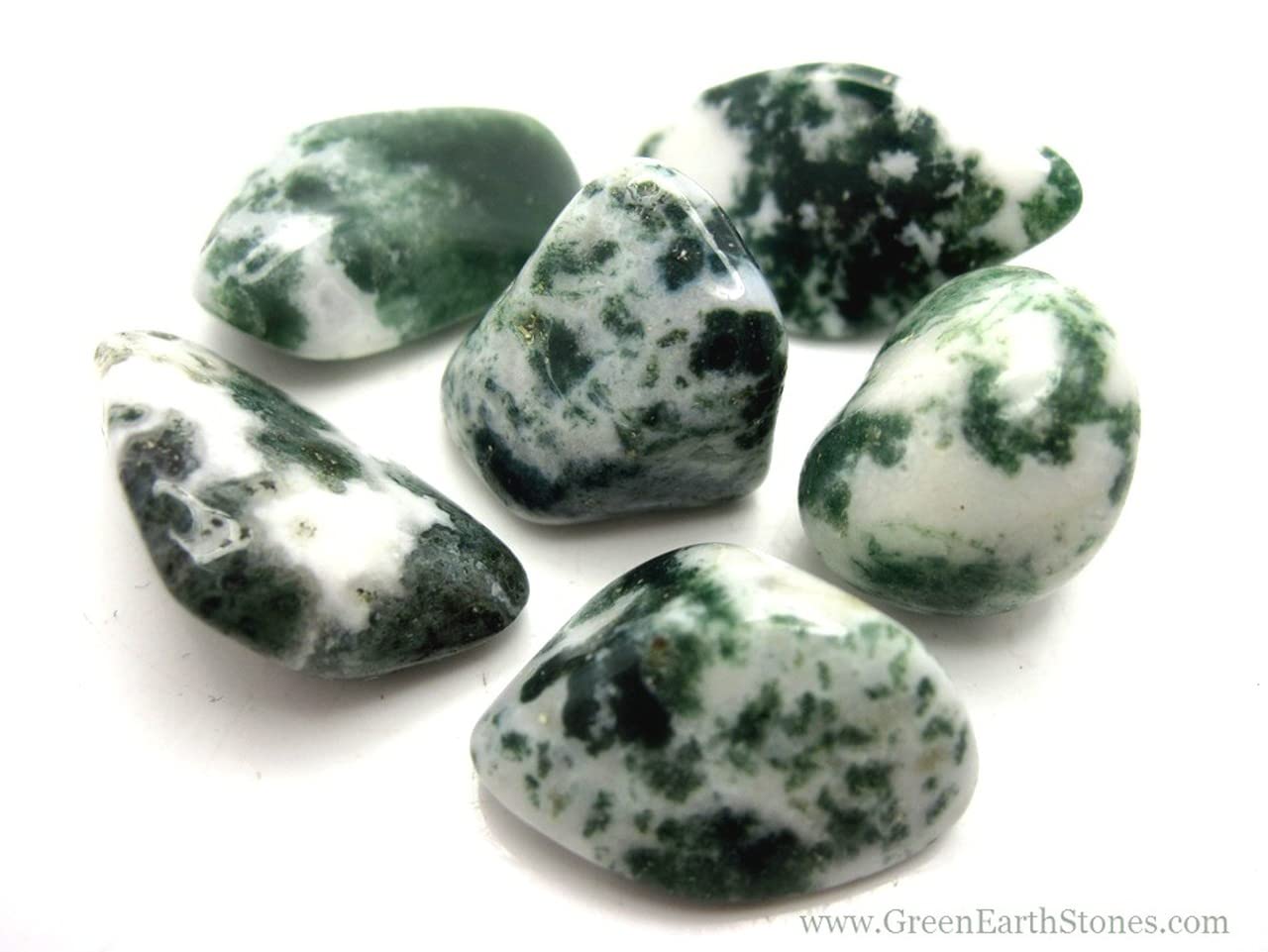 Pachamama Essentials Tree Agate Tumbled - Healing Stone - Crystal Healing 20-25mm (5)
