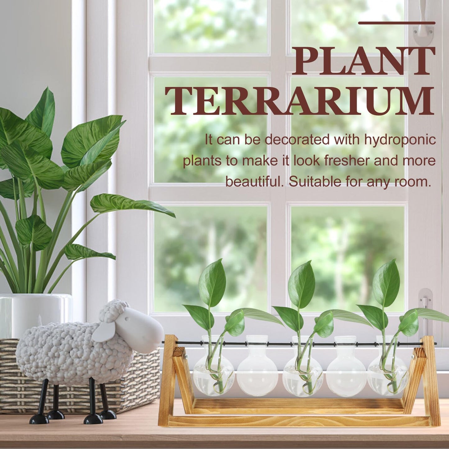 Yardenfun Propagation Station Glass Vases Set of 5 with Wood Stand, Small Hydroponic Plant Terrarium for Indoor Home Décor and Desk Display
