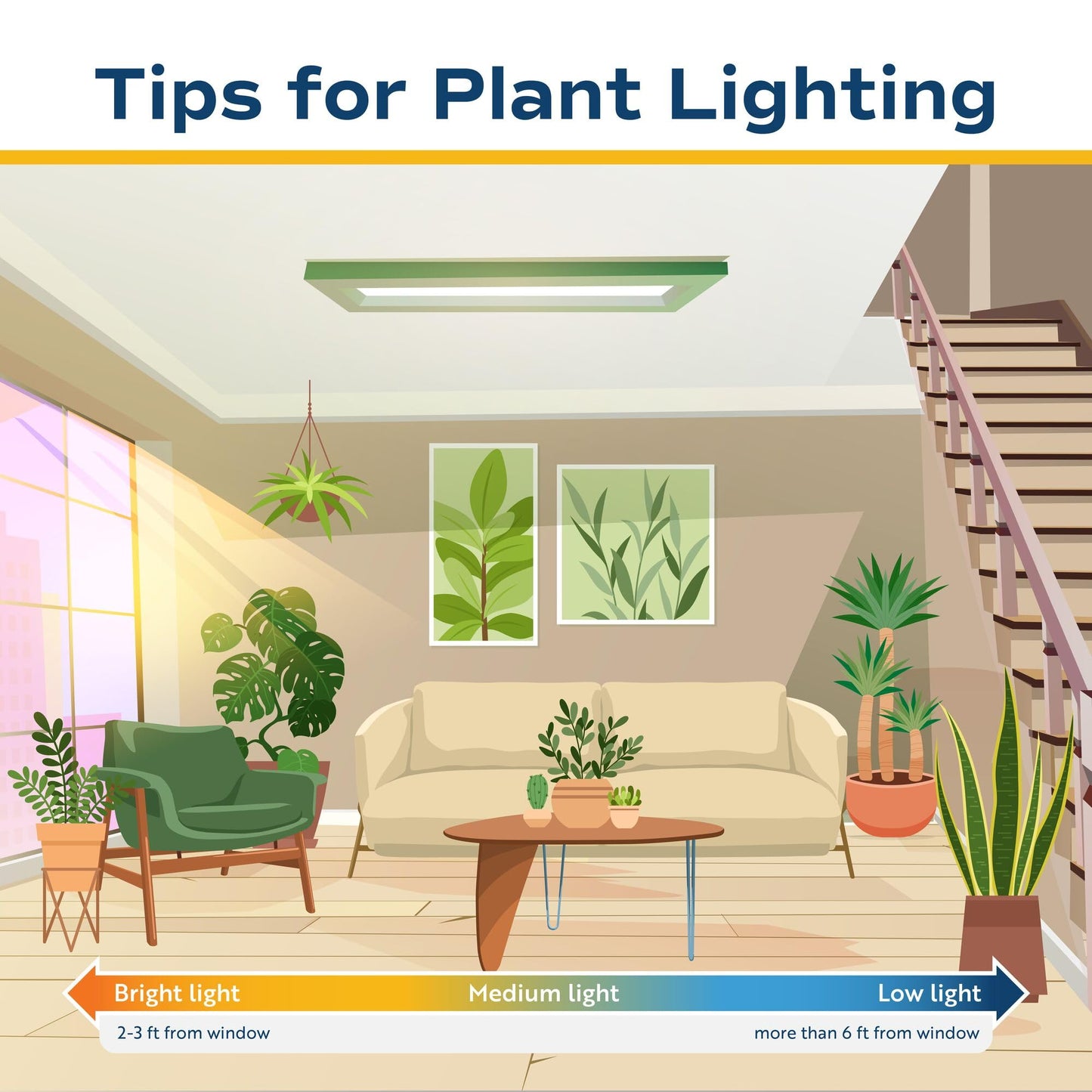 Costa Farms Lucky Bamboo Live Plant in Decorative Pot, Easy to Maintain Indoor Houseplant, Perfect for Home, Room, or Office Decor, Great House Warming or Birthday Gift, 12-15 Inches Tall