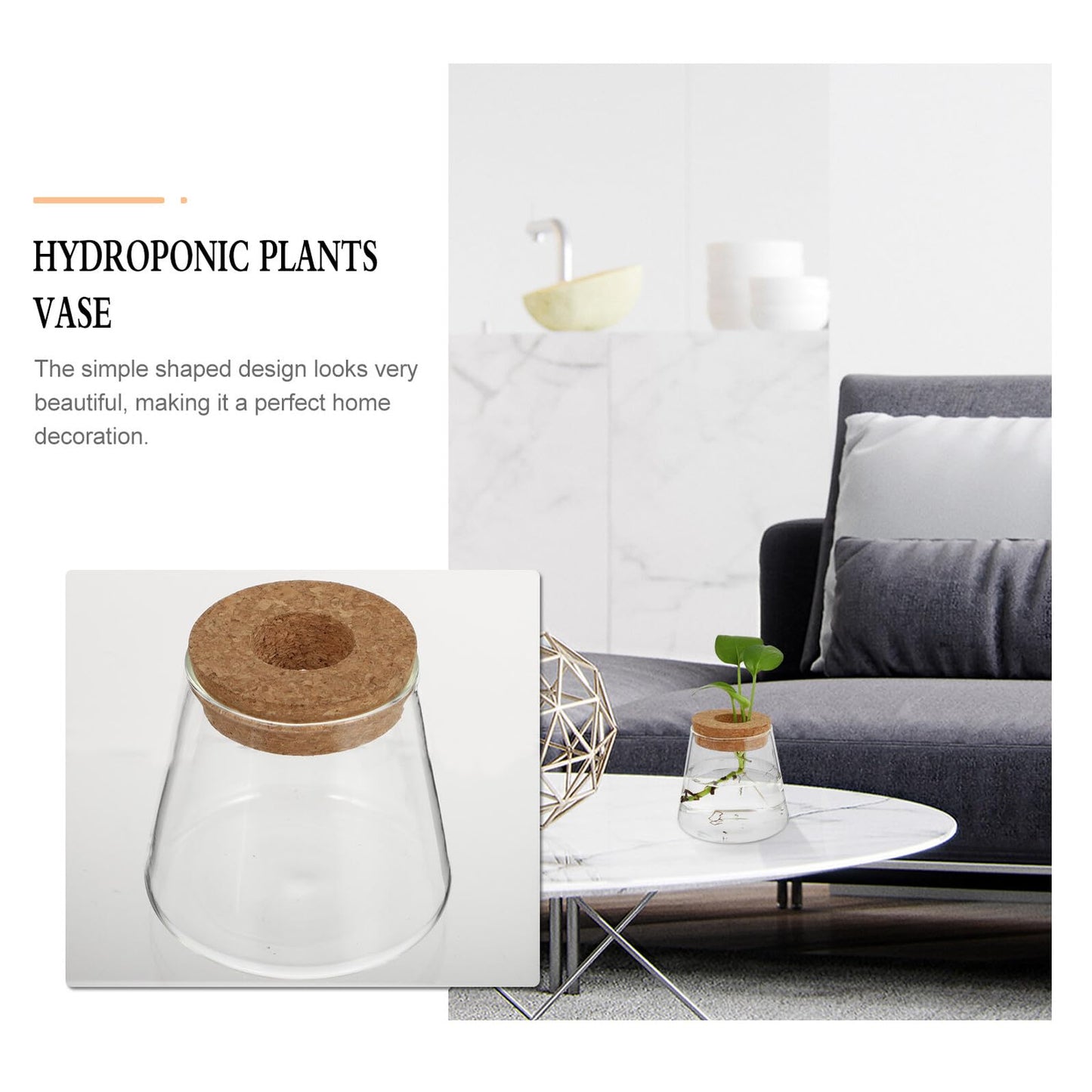 Homoyoyo 2pcs Glass Hydroponic Plants Vase Small Terrarium Flower Pots Desktop Water Planting Decoration for Home and Office