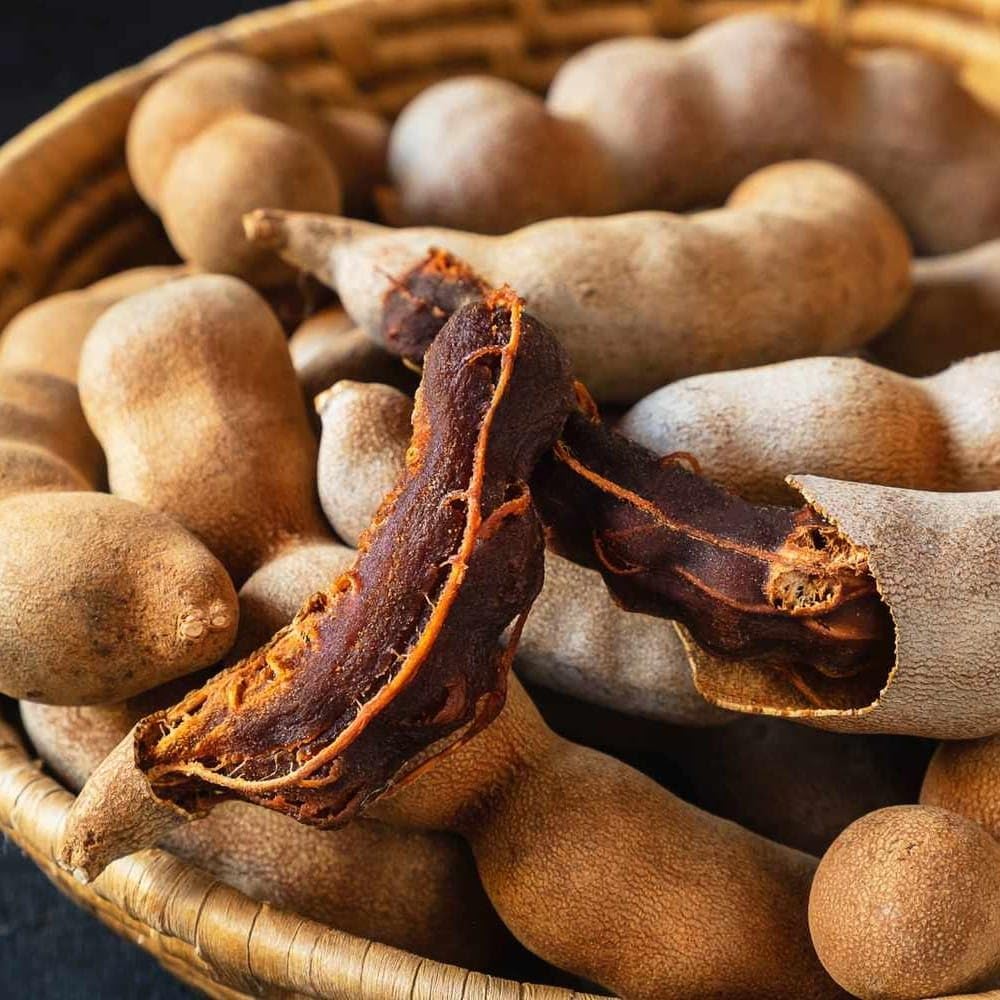 Live Plant - Sour Tamarind (Tamarindus Indica) Live Fruit Tree 2′-3′ Feet Tall