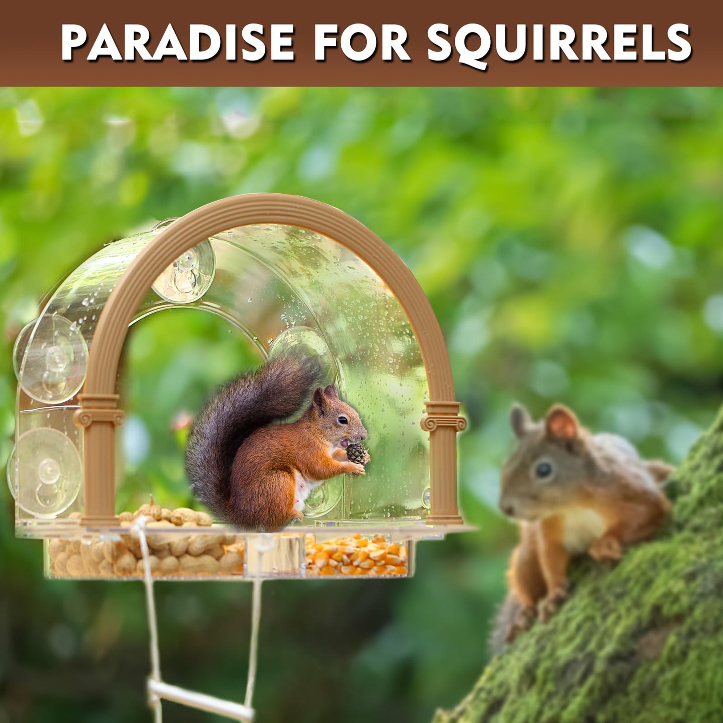 Window Squirrel Feeder, Large Squirrel Feeder for Outside,Funny Squirrel House with 5 Suction Cups,Plastic Squirrel Feeder which Easy to Install,No Assembly Required