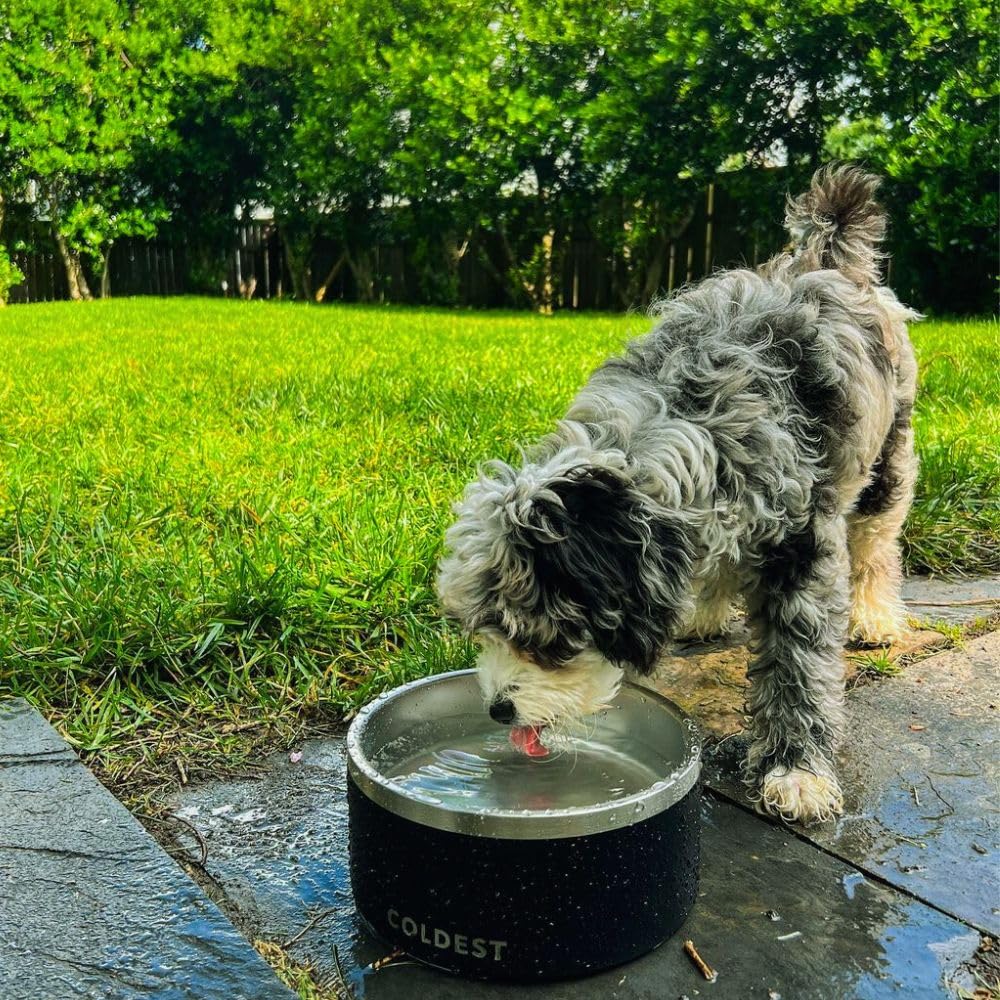 Coldest Dog Bowl - Anti Rust Metal, Non Slip, 3 Layers Insulated Stainless Steel Dog Bowls - Spill Proof & Heavy Duty - Water Bowl for Dogs, Cats & Pets, Dish Washer Safe (21 oz, Epic White)