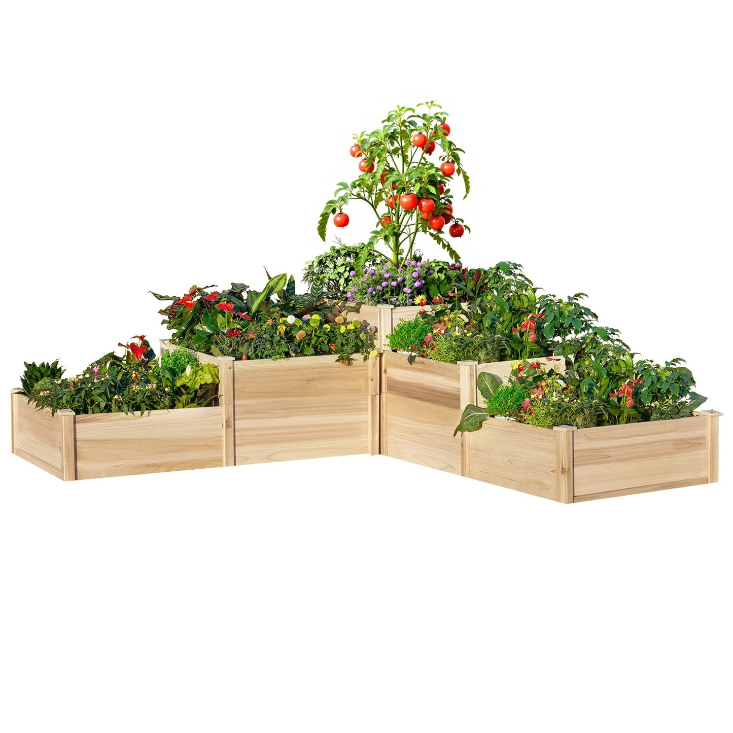 AMERLIFE 3-Tier Raised Garden Bed for Outdoor Gardening, Fir Wood Planter Box with Dividers, Tool-Free Assembly, Garden Box Perfect for Vegetables, Herbs, and Flowers