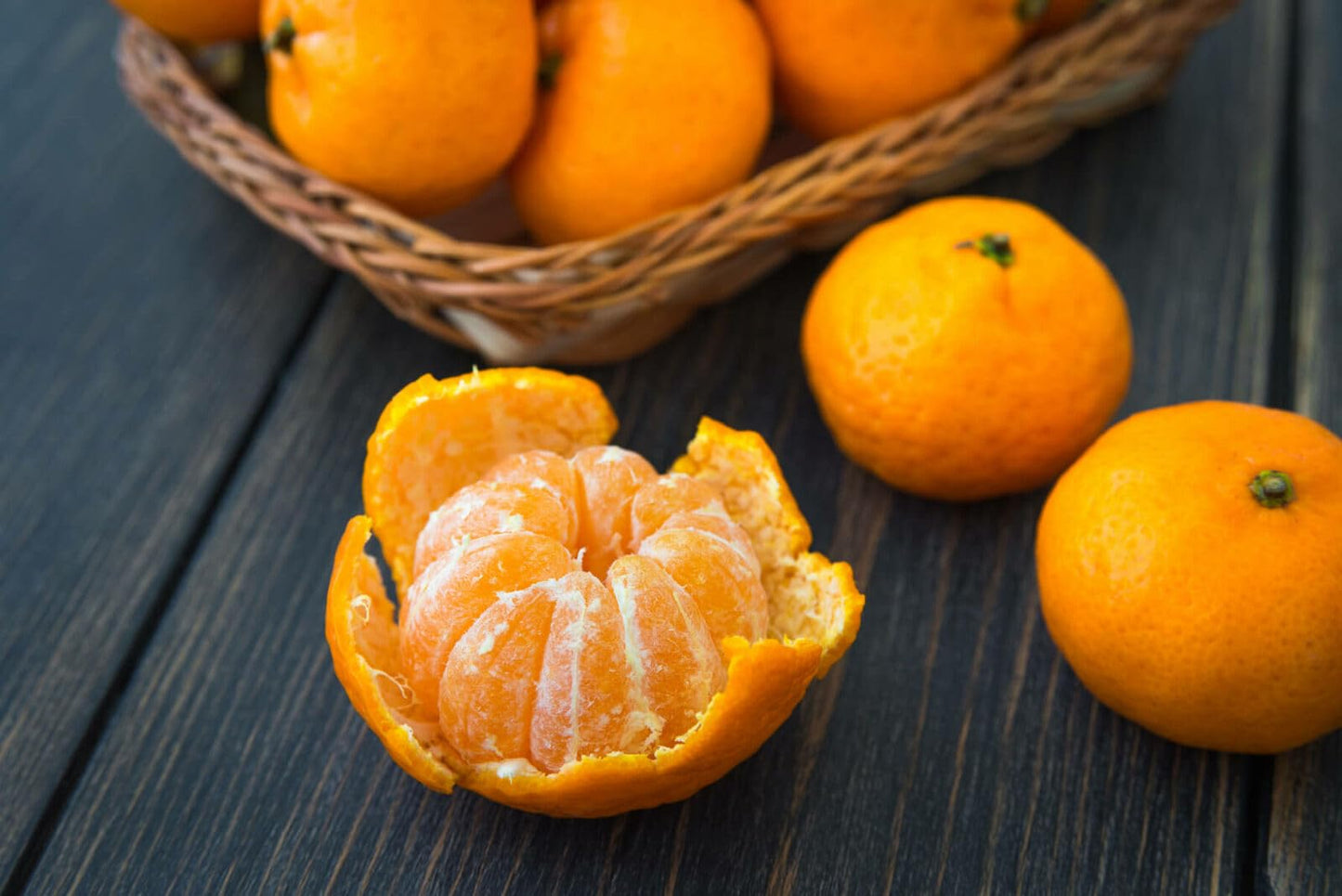 Clementine Mandarin Tree - 2-5 Inch Tall Live Plant - Potted Orange Fruit Seedling - Citrus x Clementina