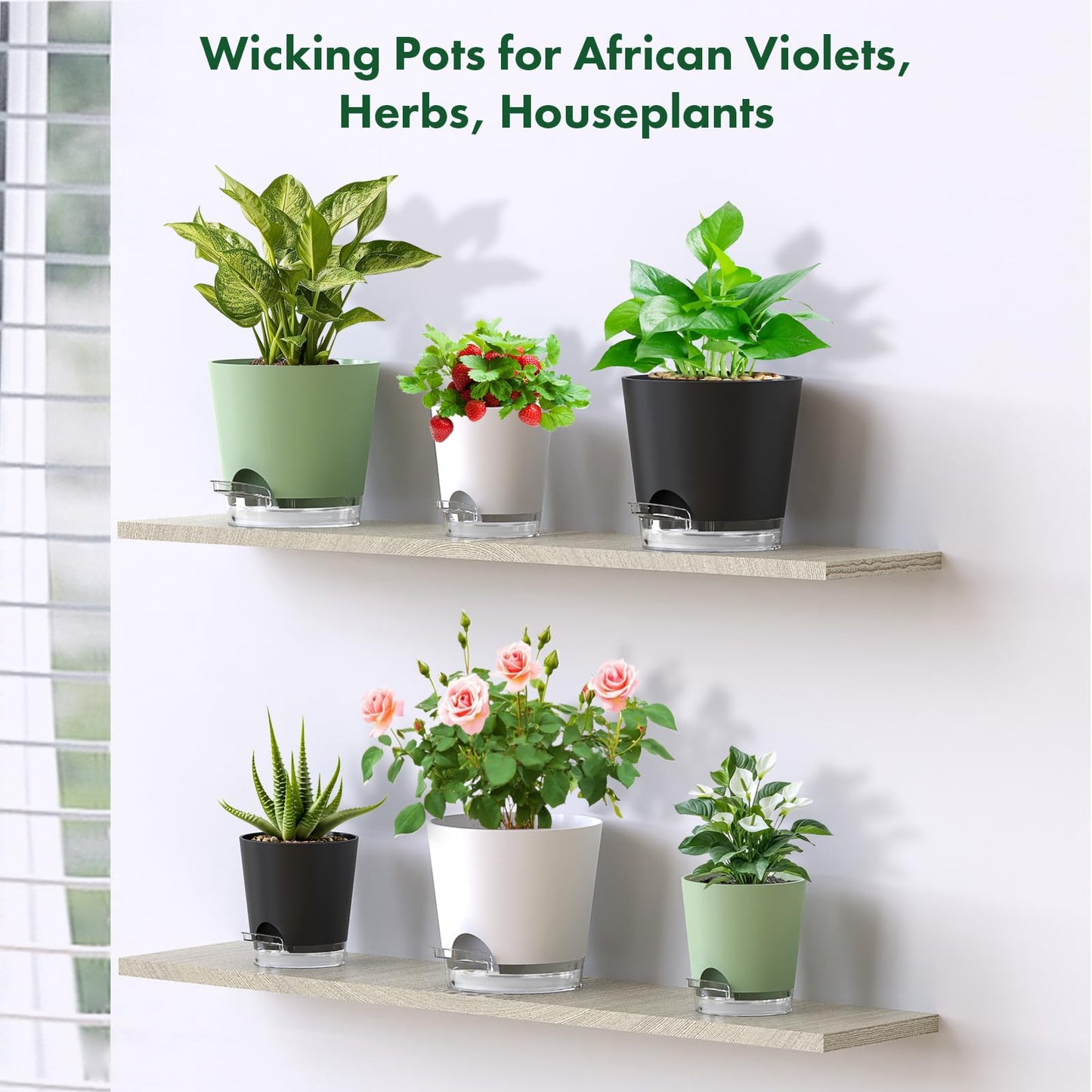 Meowell Self Watering Pots Pack of 6 – Different Size 4" to 7" Indoor Plant Pots with Drainage Holes and Clear Reservoir for Visible Water Level, Plastic Wicking Planters for House Plants, Black