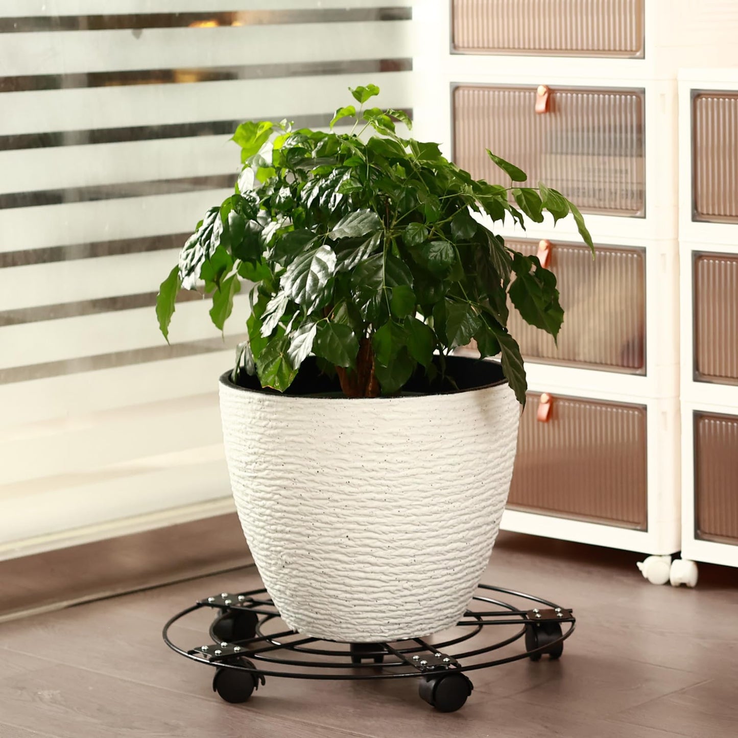 3 Packs 13.5" Large Metal Plant Caddy with Wheels Iron Metal Rolling Plant Stands Heavy-duty Plant Roller Base Pot Movers Indoor Outdoor Plant Dolly with 5 Casters Plant Trolley Coaster Holder