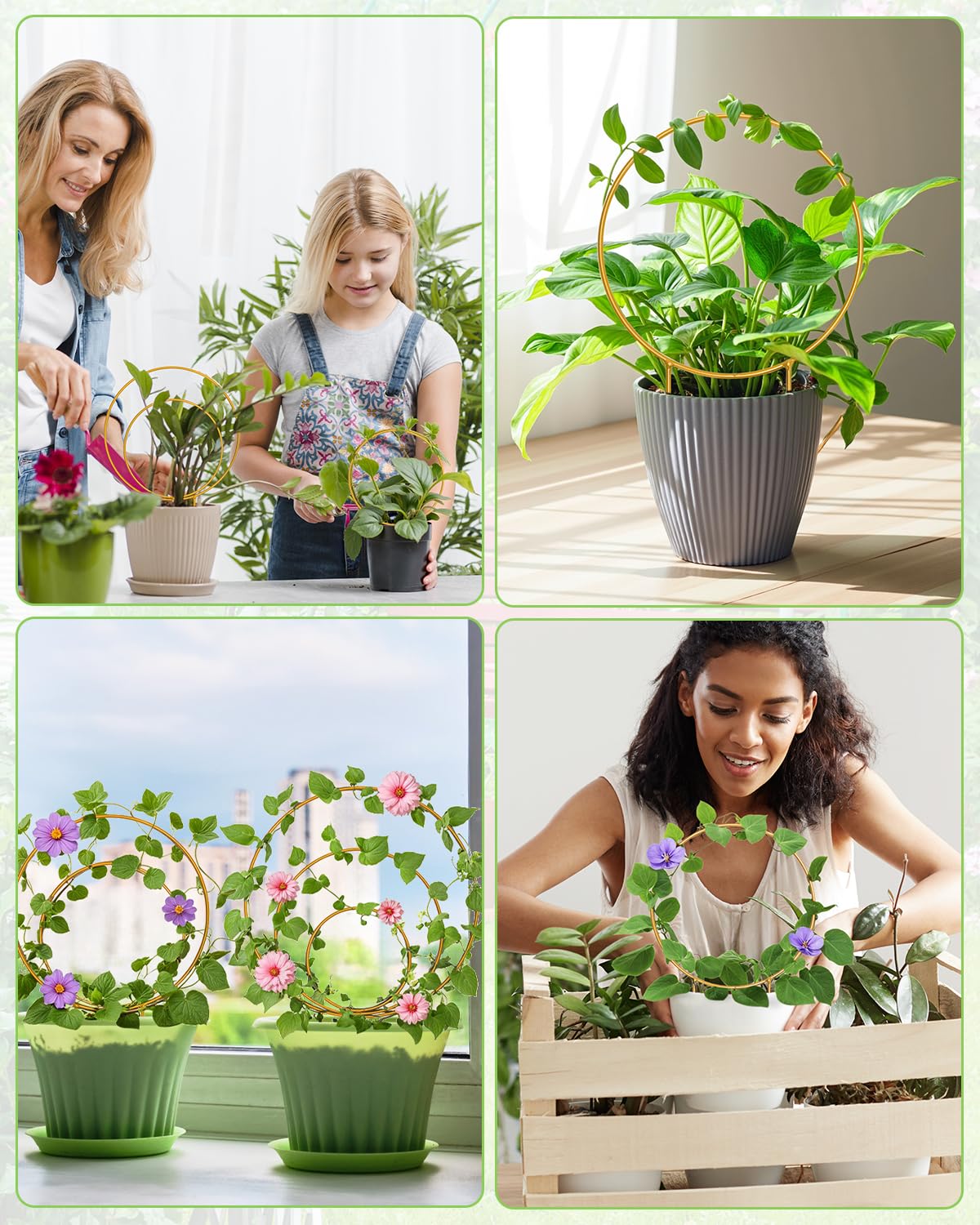 3 Pack Premium Round Plant Trellis Indoor, Small Metal Plant Support Stake for Climbing Plants, Different Sizes Gold Garden Trellis for Ivy and Flowers Outdoor