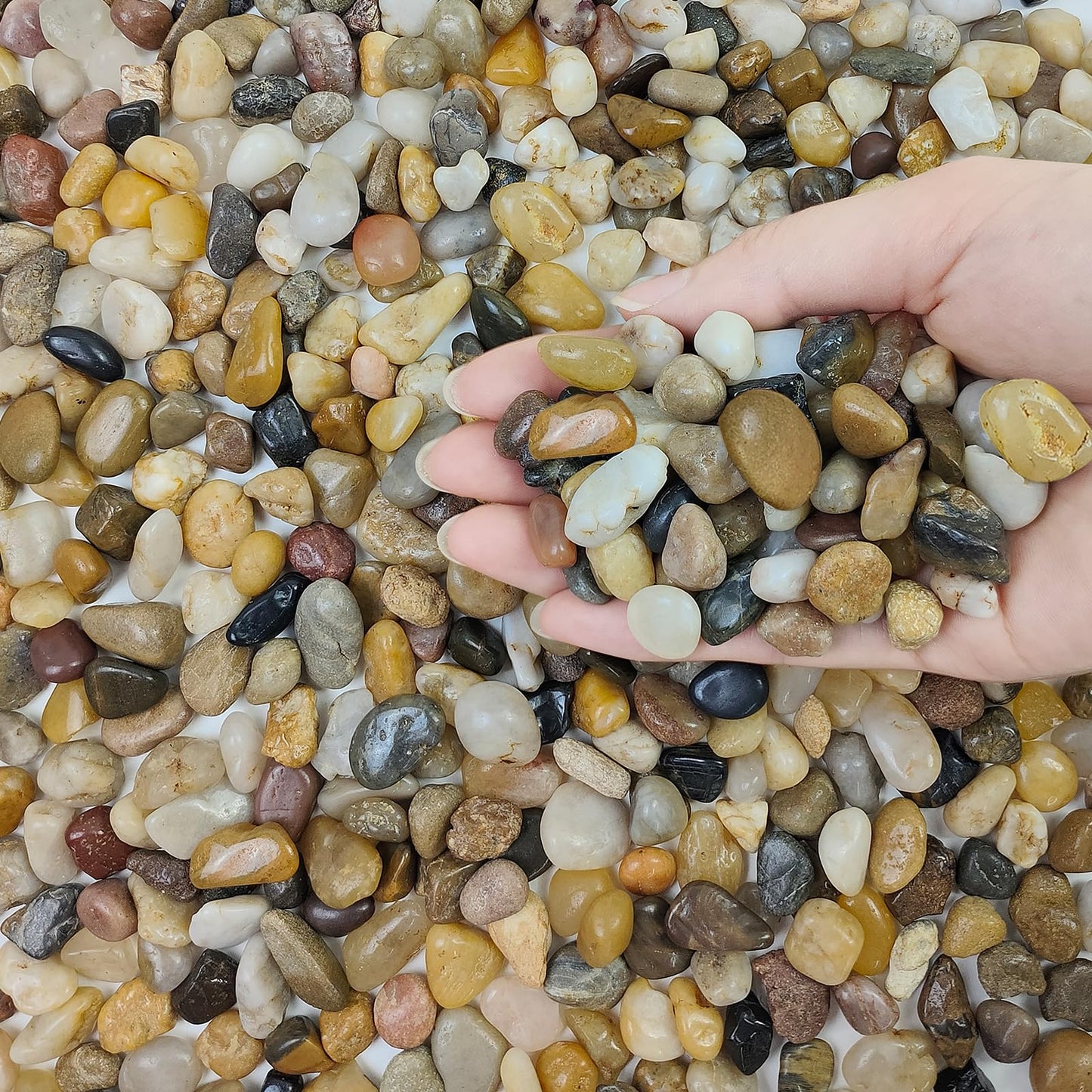 FANTIAN 5 lbs Polished Pebbles, 3/8 Inch Pea Gravel for Plants, Decorative Stones River Rocks for Succulent Soil Cover, Cactus, Aquarium, Vase and Outdoor Garden Landscaping