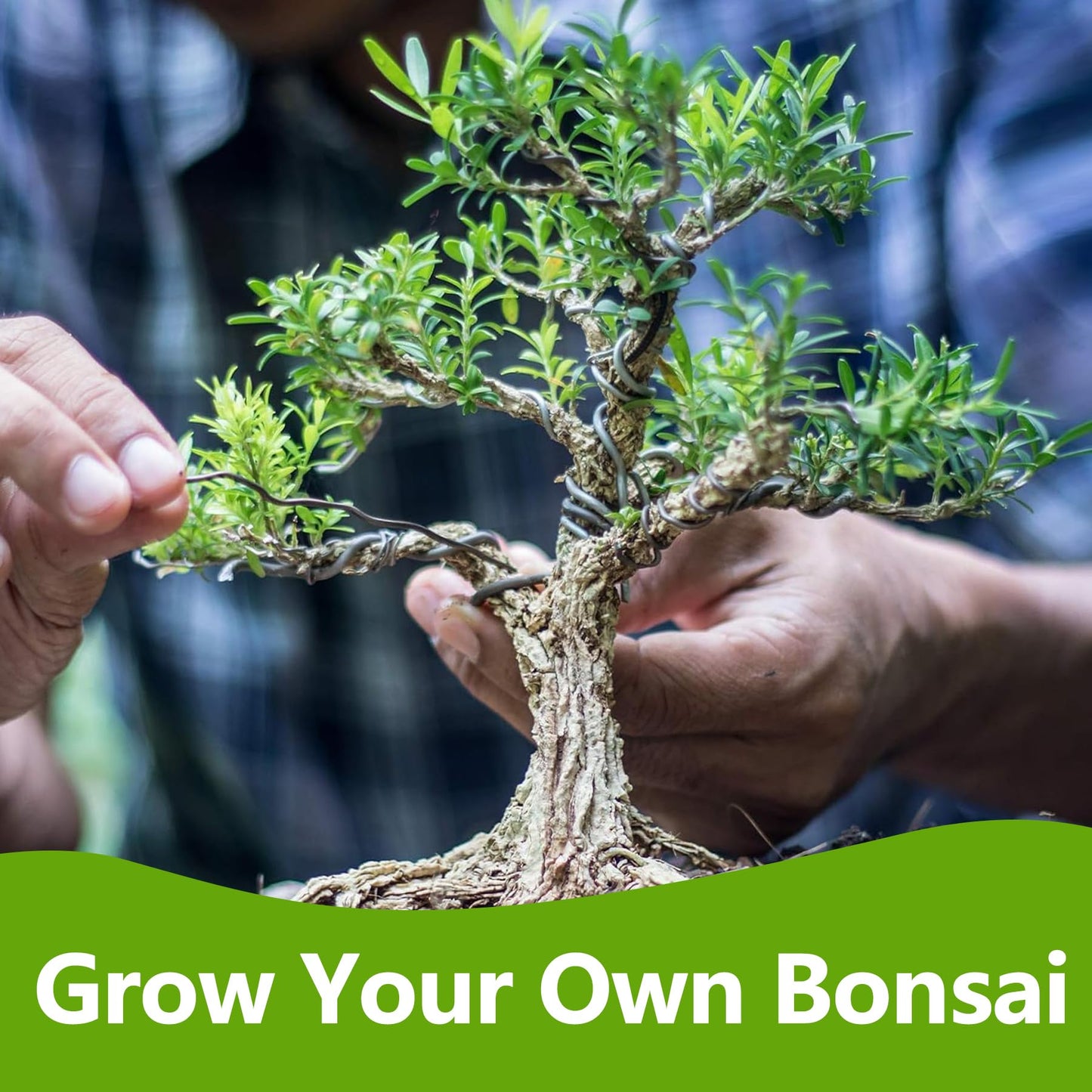 Bonsai Tree Kit, Bonsai Starter Kit with 4 Types of Seeds, Tools & Planters, Bonsai Tree Live Plants Indoor, Gardening Gifts for Women Men Mom Father Plant Lover, Unique