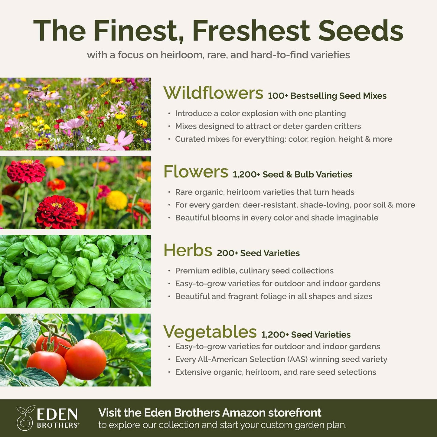 Eden Brothers Northeast Wildflower Mixed Seeds for Planting, 1/4 lb, 120,000+ Seeds with Cosmos, Candytuft, Shasta Daisy | Attracts Pollinators, Plant in Spring or Fall, Zones 3, 4, 5, 6, 7, 8, 9, 10