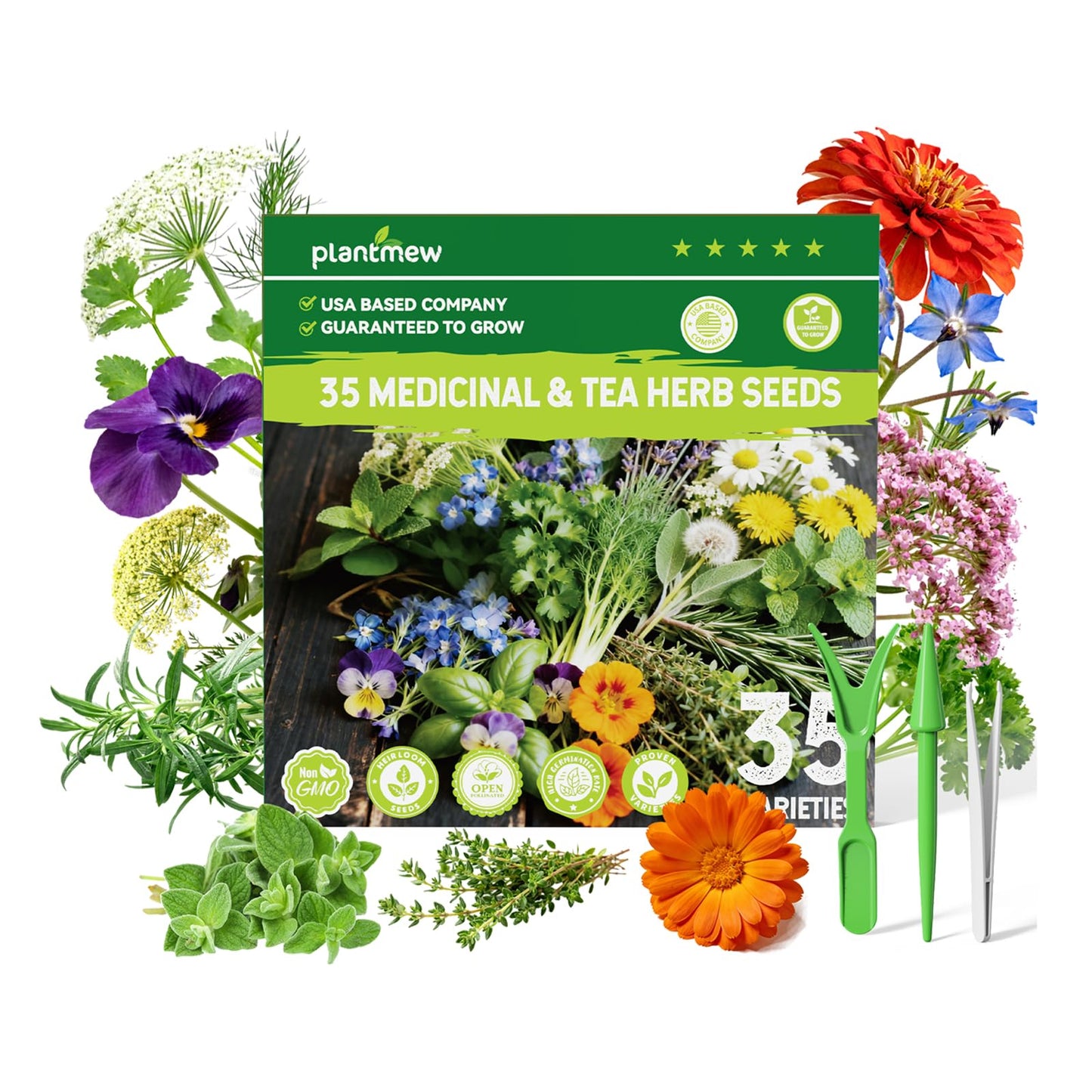 Medicinal & Tea Herb Seeds for Planting - 35 Non-GMO Variety Pack for Indoor/Outdoor Garden: Anise, Bergamot, Borage, Fennel, Chamomile, Dandelion, Oregano, Hyssop, Catnip Seeds & More