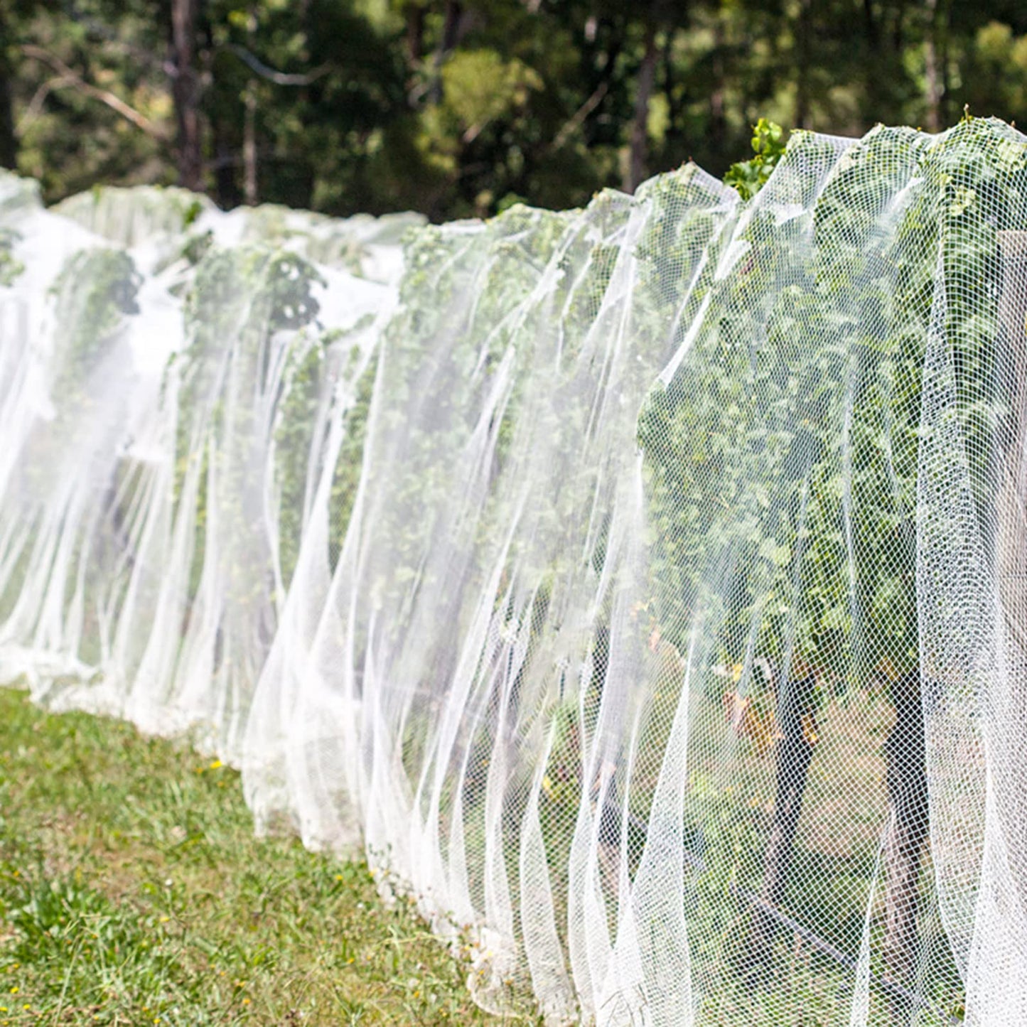 Unves 10'x20' Garden Netting, Bird Netting Mosquito Mesh for Vegetable Fruits Plant Garden Protections, Plant Covers Bug Insect Net Pest Barrier Protect Garden Plant from Birds Bugs