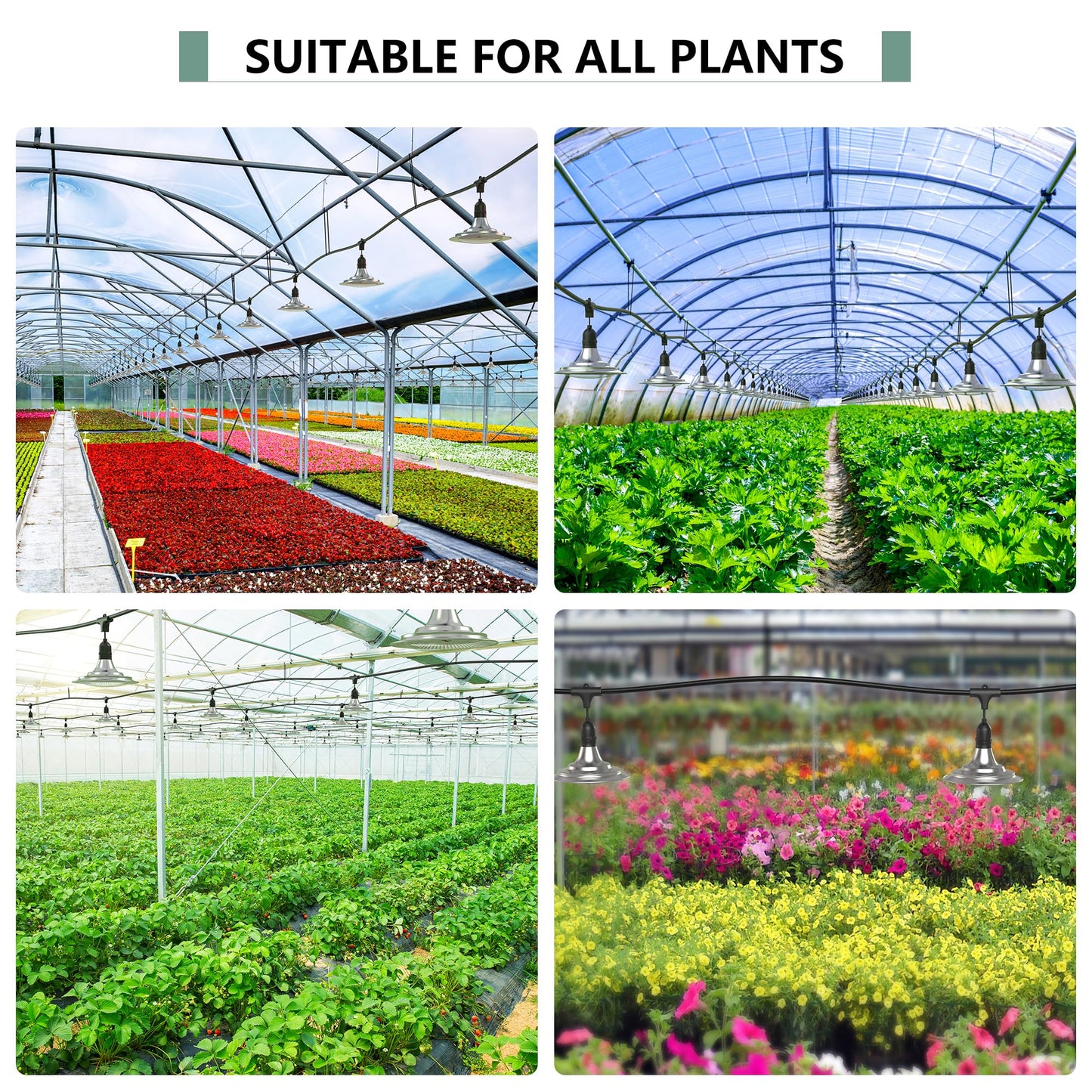 EVERYGROW Outdoor Grow Lights for Greenhouse, Full Spectrum Greenhouse Grow Lights for Outdoor Plants, IP65 Waterproof String Grow Light Outdoor, UL Certified Daisy Chain LED Grow Light, 21.3FT