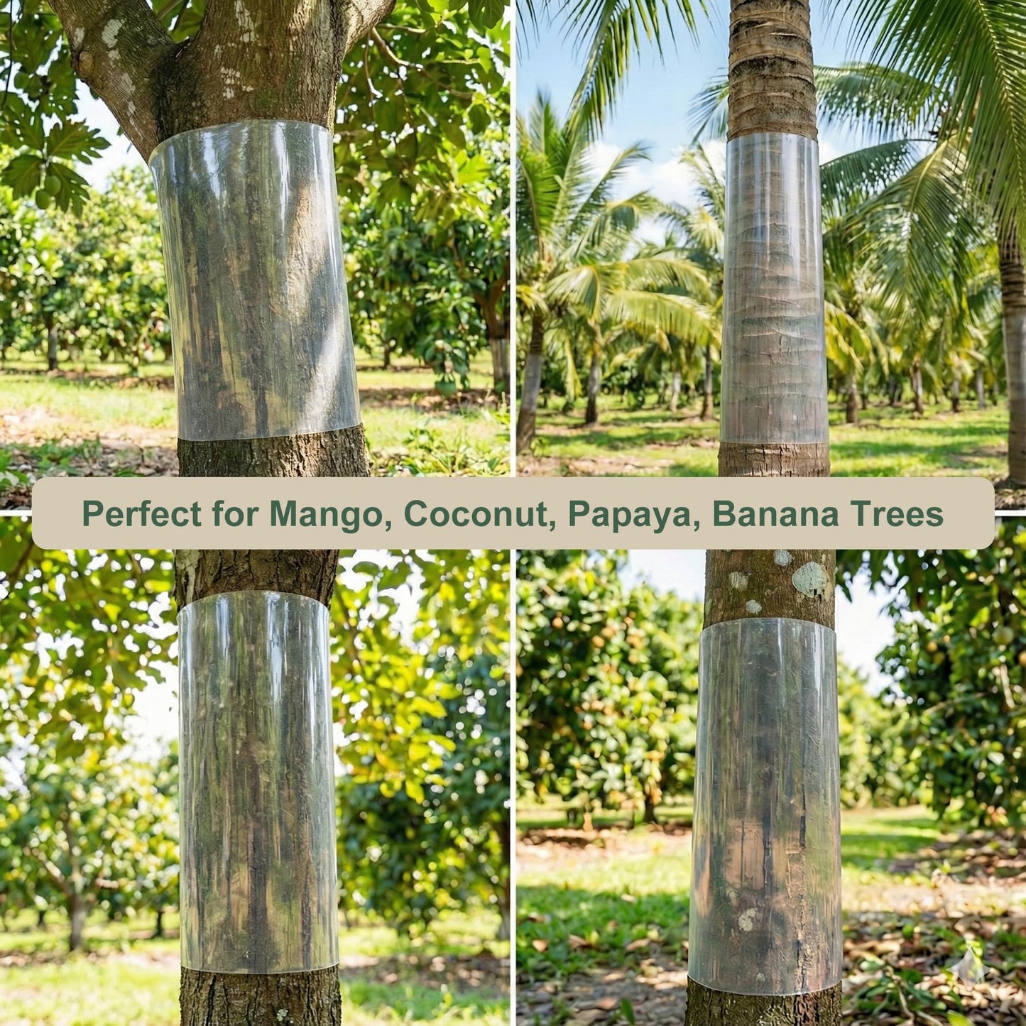 Bltopabb 48" L X 16" W Thickened PVC Transparent Tree Guard for Iguana Prevention, Easy Install Reusable Wrap with Strong Adhesive, Stops Cats from Climbing Trees