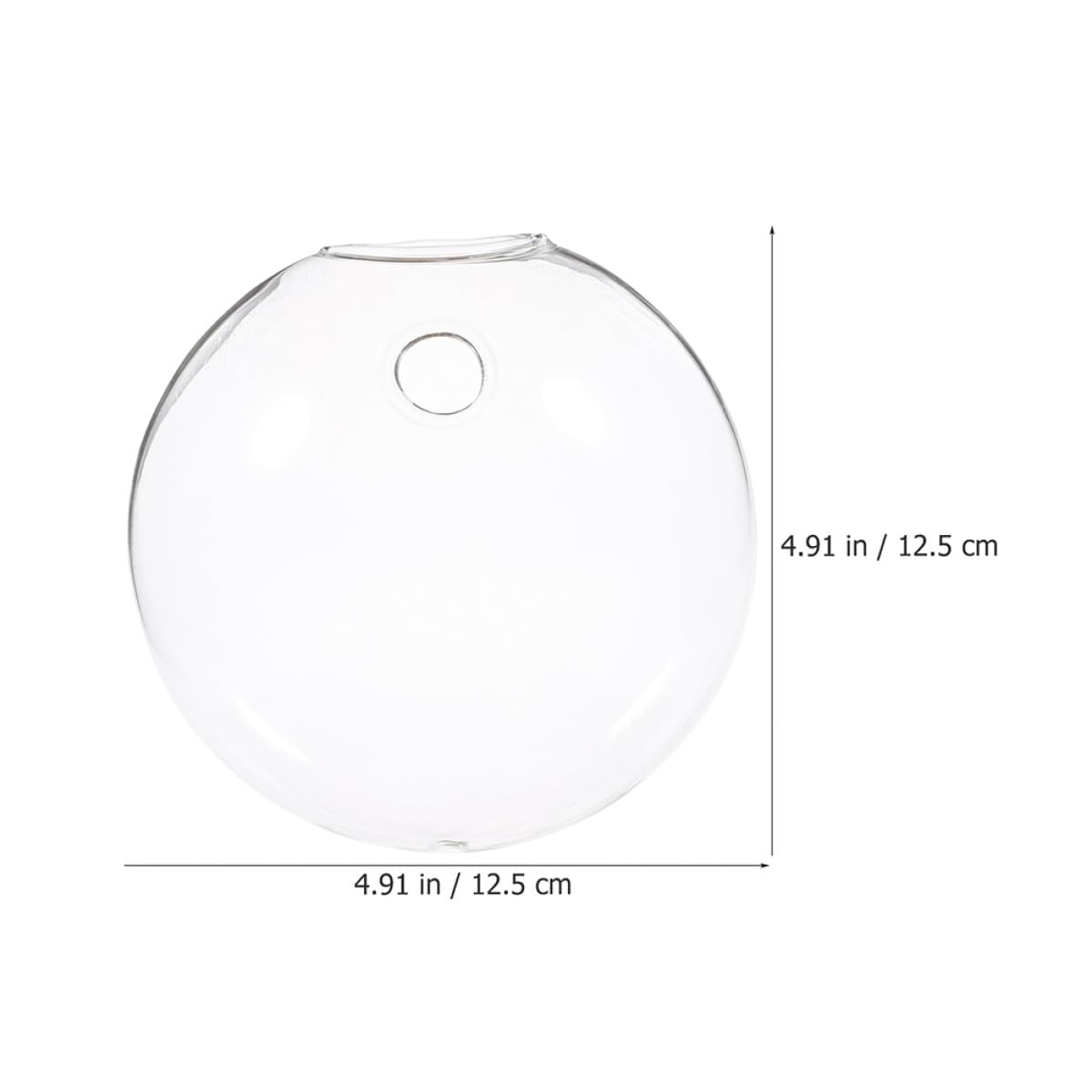 BESPORTBLE 4pcs Wall Mounted Glass Containers Hydroponic Plant Holders Glass Vases for Indoor Balcony Decor and Terrarium Display