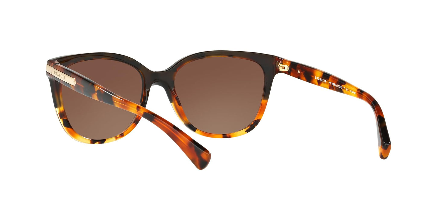 COACH HC8132 Sunglasses, Black Tortoise Gradient/Brown Gradient Polarized, 57 mm