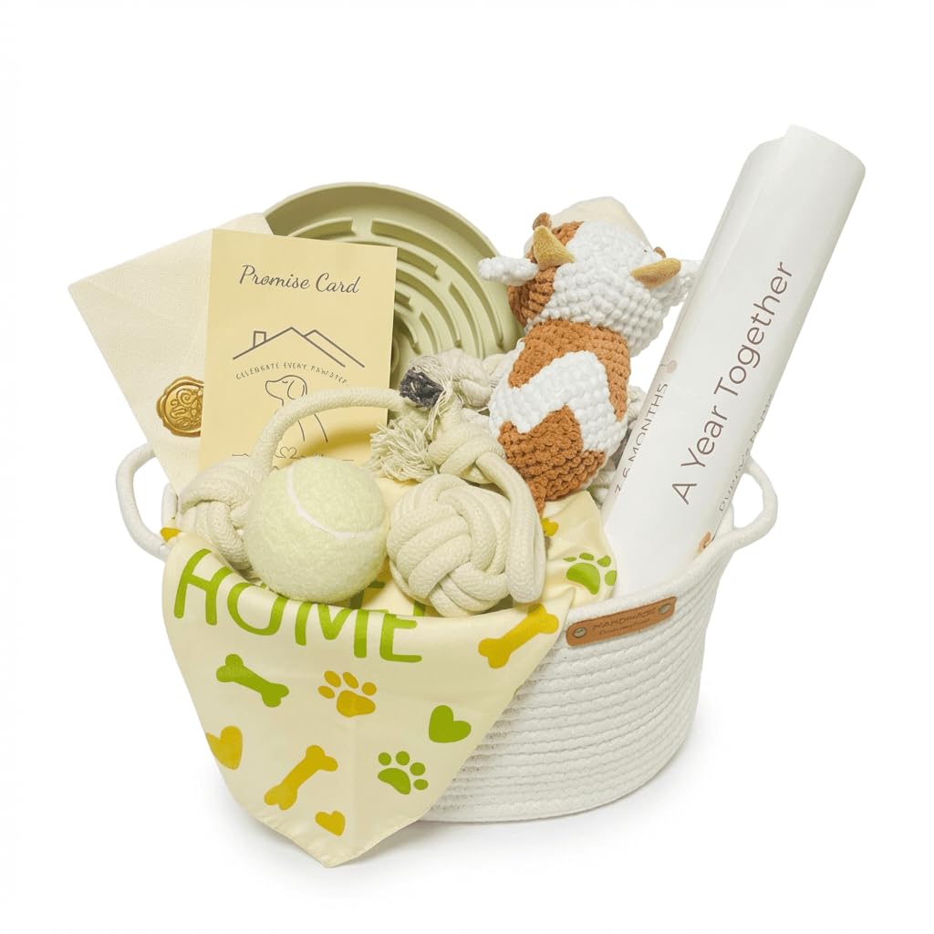 Nopikku Puppy Welcome Home Gift Box – New Puppy Gift Basket with Toys, Slow Feeder & Milestone Card, Perfect Puppy Starter Kit for New Dog Owners