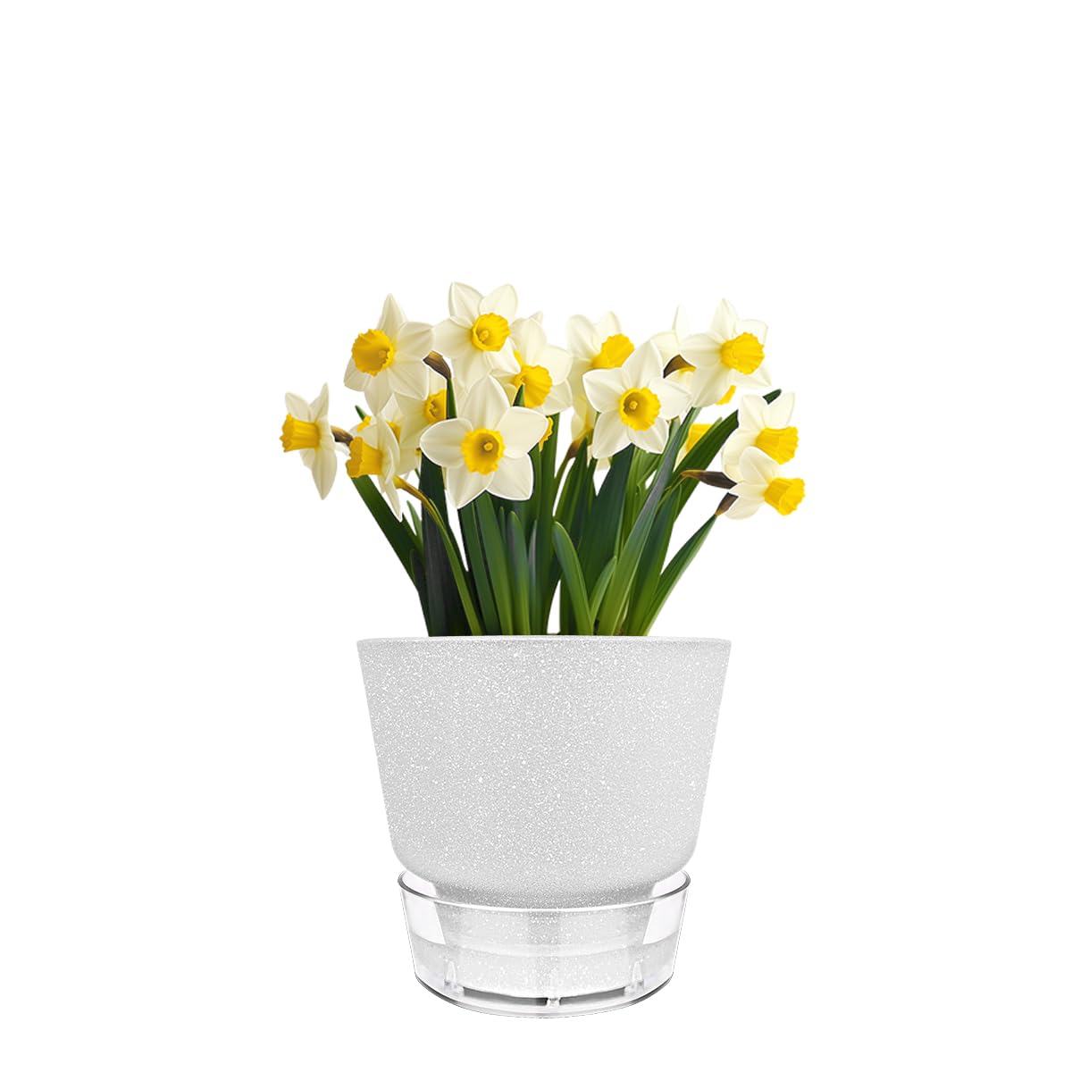 HYNZ 6-Inch Self-Watering Plant Pot with Visual Reservoir and Drainage Hole, Set of 5, Plastic Flower Pots, Planting Pot for Indoor Outdoor Plants (Frosted Mixed Color)