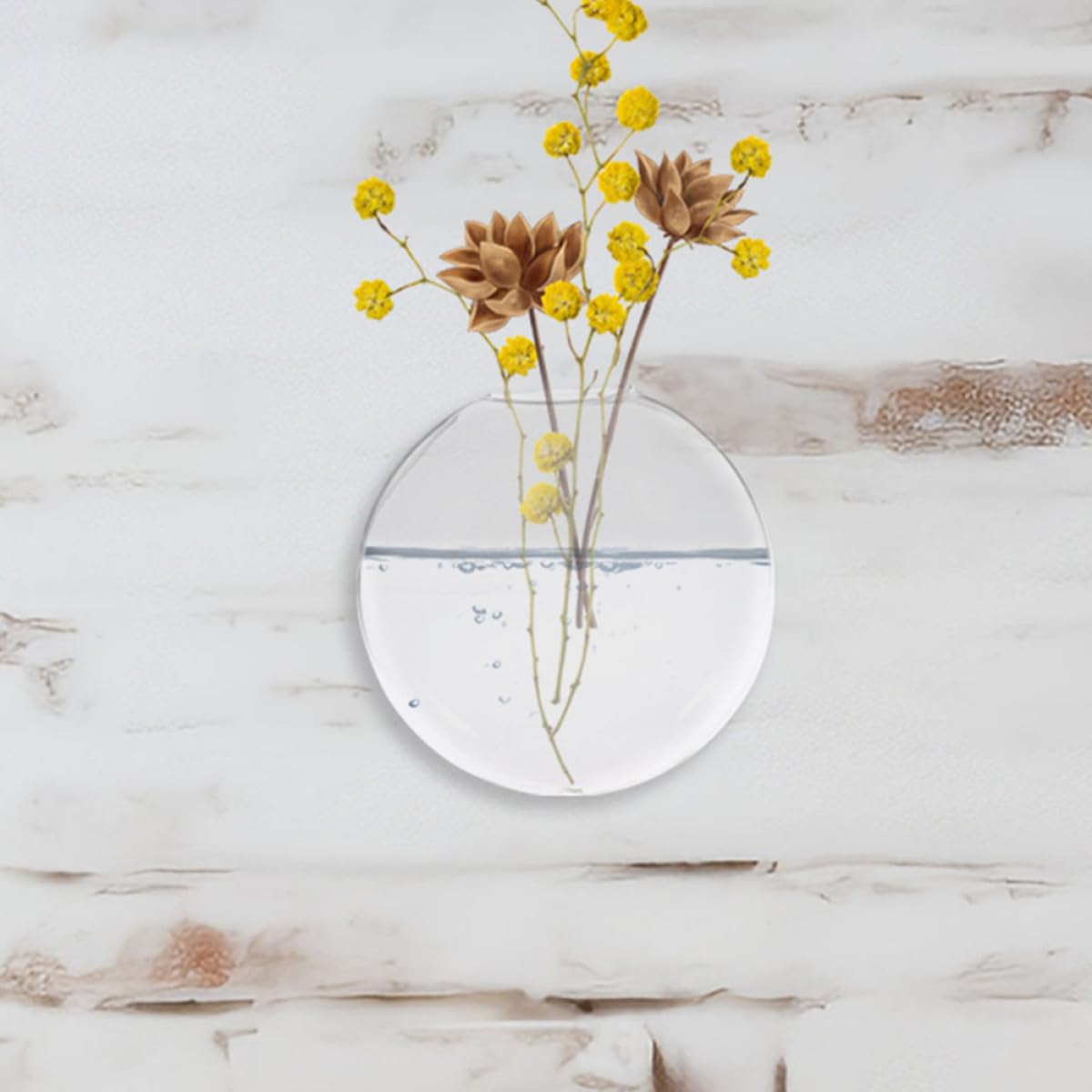 Happyyami 2pcs Wall Hanging Planter Terrariums Hydroponic Glass Vases Indoor Wall Plant Holders Decorative Hanging Pots for Home Décor