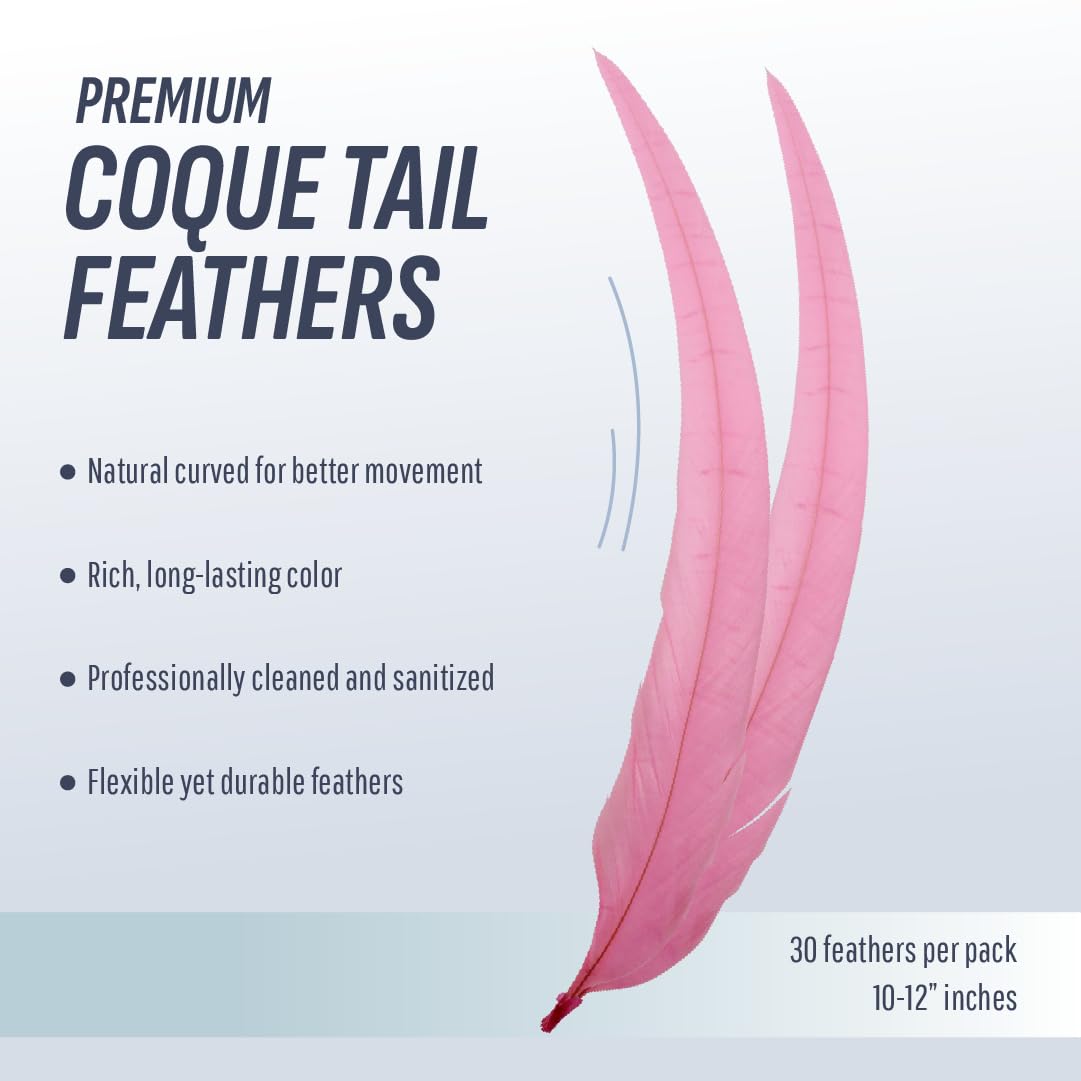 Schuman Feathers Baby Pink Coque Tail Feathers 30 Pack (10-12 Inch) – Natural Rooster Feathers for Crafts, Costumes, Decor, DIY, Halloween, Mardi Gras – Packed in USA, U.S. Quality Control