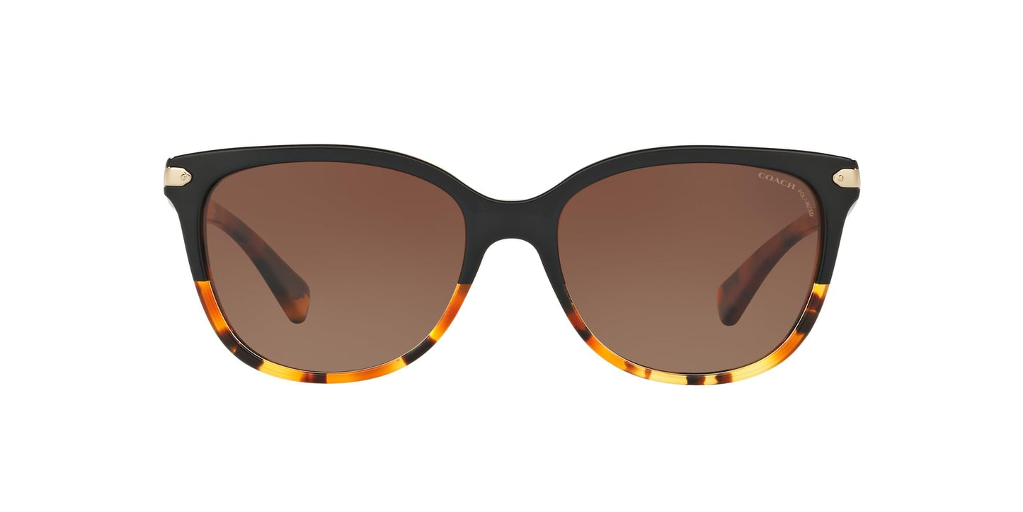 COACH HC8132 Sunglasses, Black Tortoise Gradient/Brown Gradient Polarized, 57 mm
