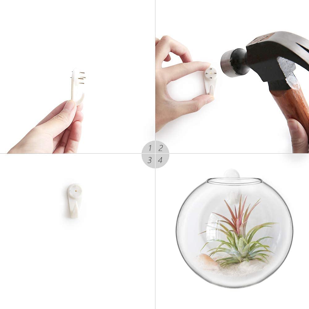 Mkono Wall Hanging Glass Terrariums Planter Oblate Flower Vase for Hydroponics Plants, Bathroom, Home Office Living Room Decor, Set of 2（Plants not Included）