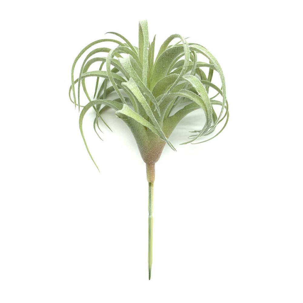 EBUYOM 2 PCS Artificial Succulents Plants Real Touch Lifelike Succulants Plants Faux Greenery Plants Garden DIY Home Office Decoration Ornament (Flocking Air Plant)