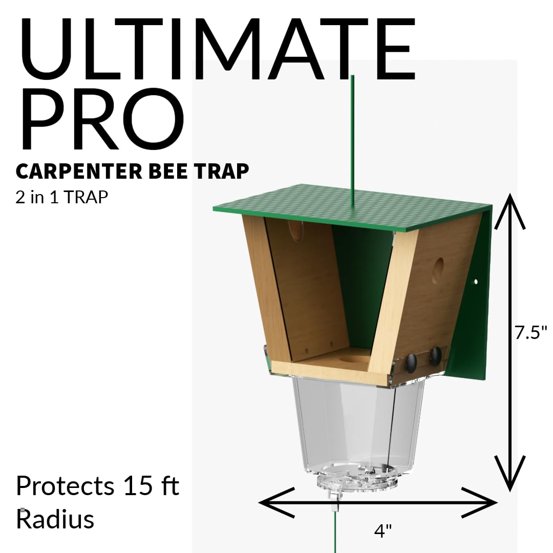 Best Bee Brothers Ultimate Pro Carpenter Bee Trap for Outside with Extra-Large, Clear External Receptacle, Internal Bee Vault & Spring-Loaded Door, 4.2” D x 5.8” W x 7.5” H (2 Pack)