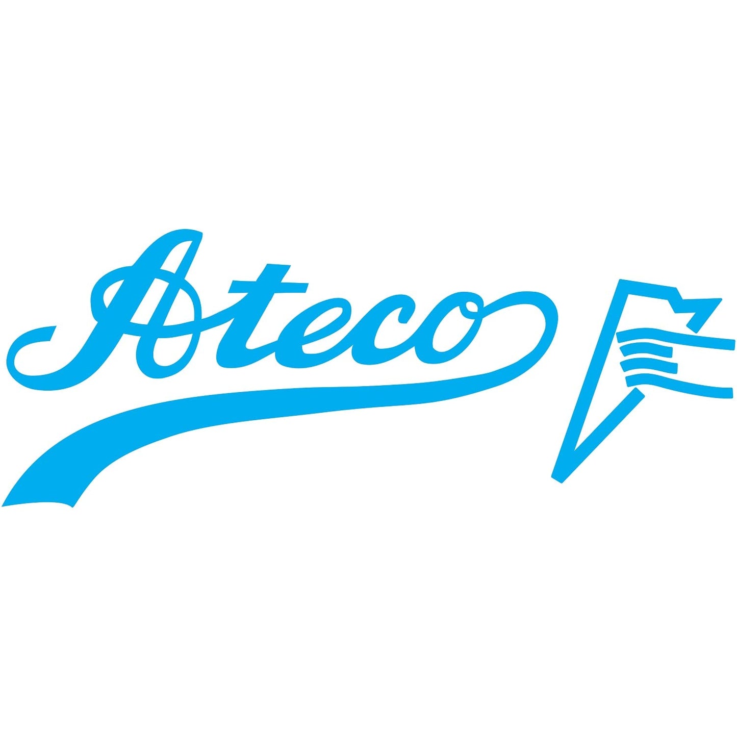 Ateco 4418 Plastic Disposable Piping and Cake Decorating Bags with NuPlastiQ, Pack of 100, Clear