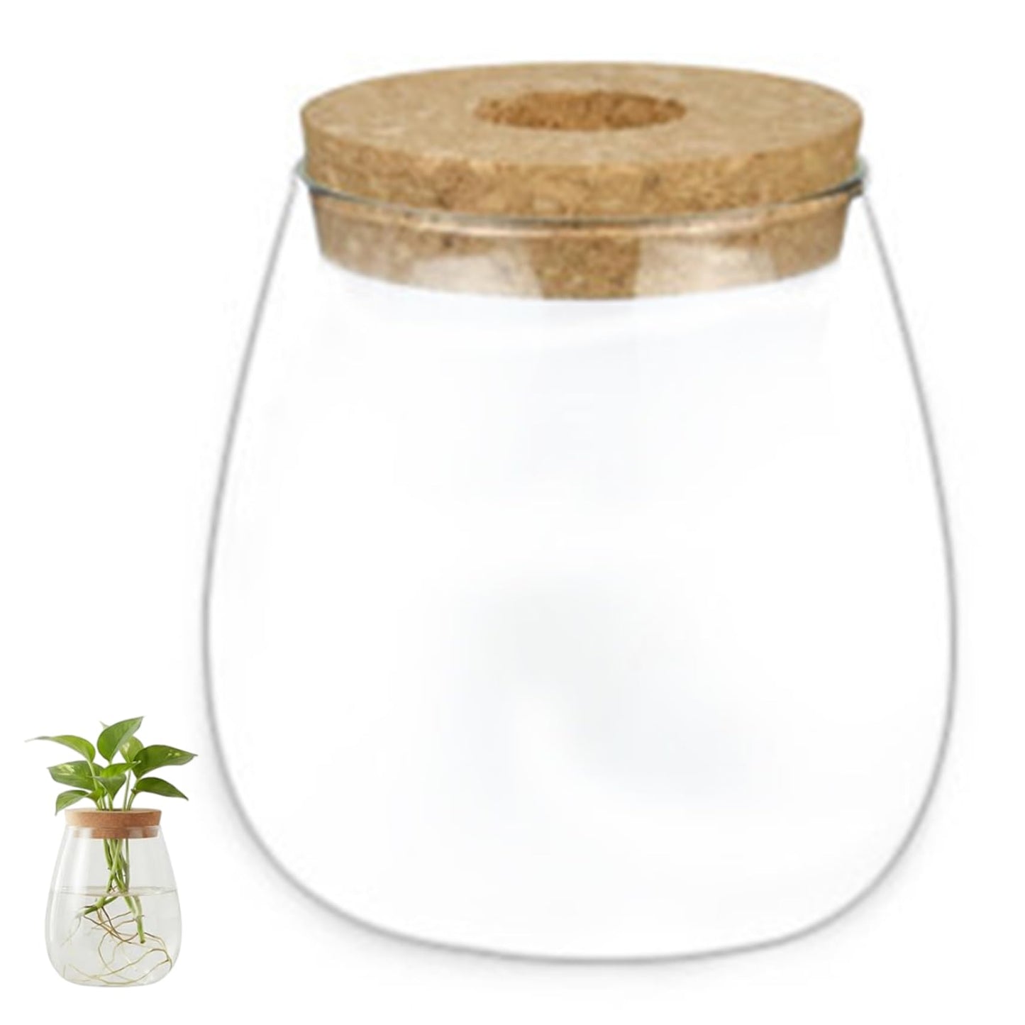 Xoeryoy Propagation Vases for Plants, Clear Glass Terrarium Jar with Wooden Stopper for Hydroponics, Creative Home Decor and Tabletop Plant Propagation Station