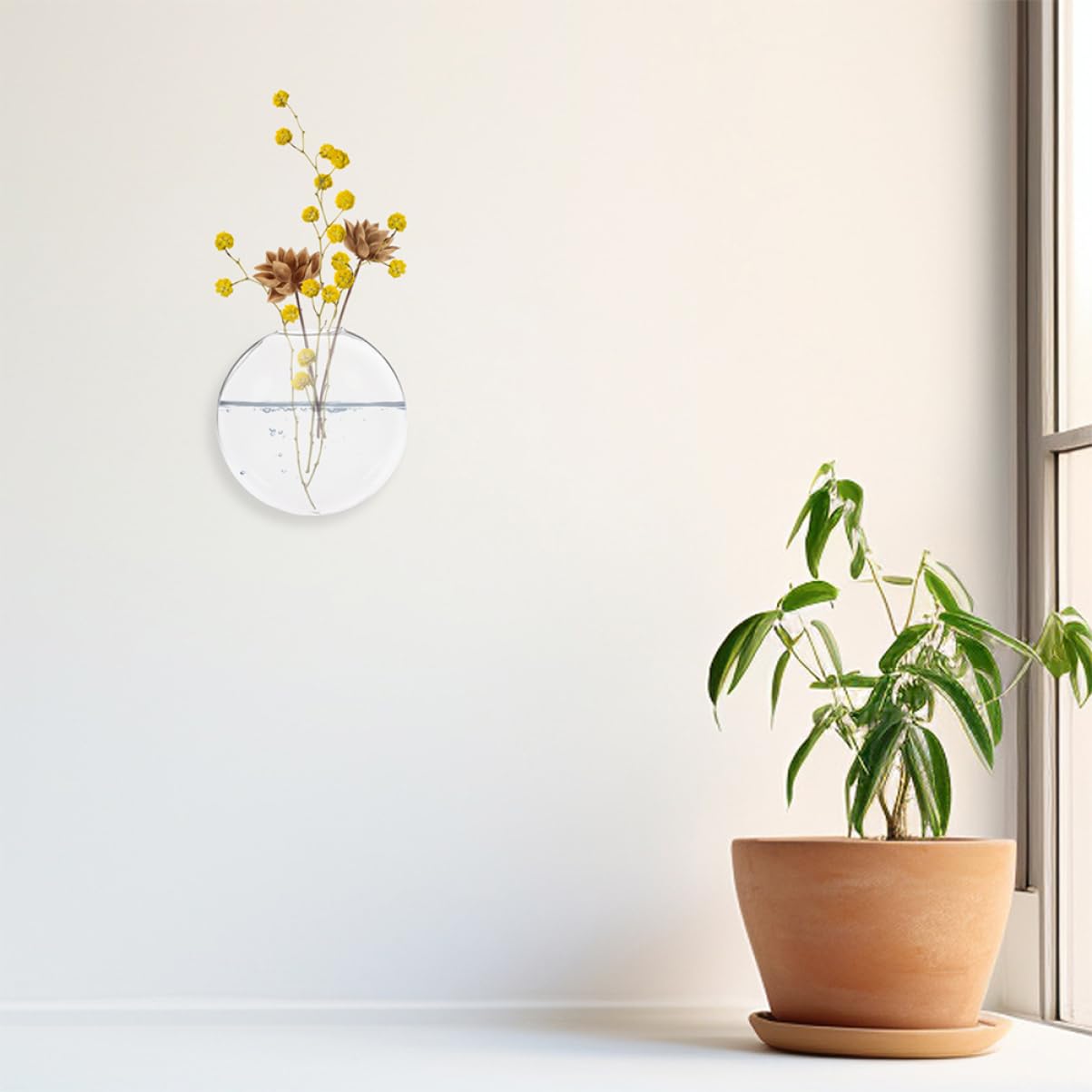 Ciieeo 4pcs Unique Hydroponic Vase Wall Planter Glass Terrarium Jar Modern Vase for Indoor Plants Wall Decor
