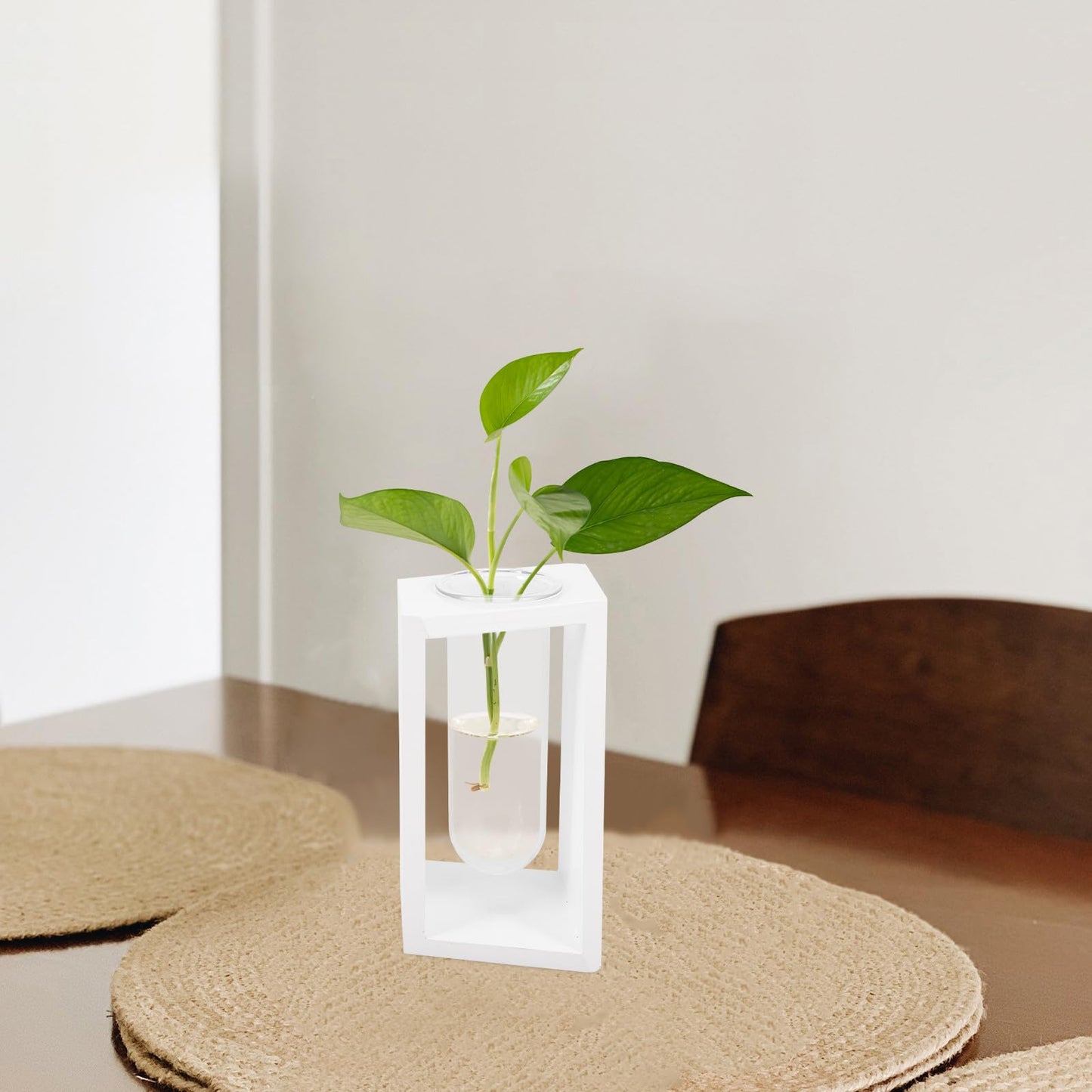 TOPPERFUN Test Tube Glass Planter with White Wood Rack, Small Hydroponic Vase for Indoor Plant Propagation and Home Décor, Creative Terrarium Tube for Succulents and Greenery