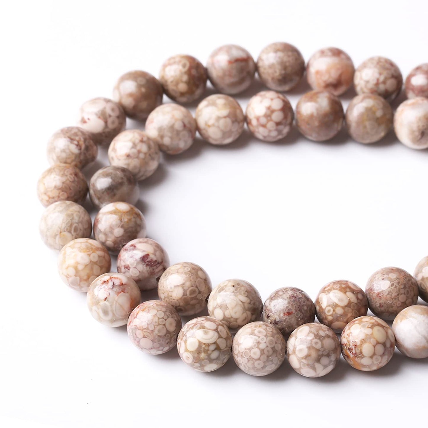 60PCS 6MM Natural Flowery Cowry Fossil Stone Beads Energy Healing Beads for DIY Jewelry Bracelet Necklace Making for Jewelry Making15Inch