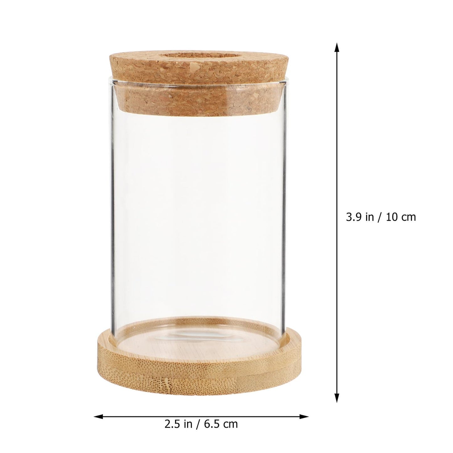 jojofuny 2pcs Glass Planter Vases for Hydroponics Plants 6.5x10in Desktop Terrarium with Stand Set for Home Office Gardening