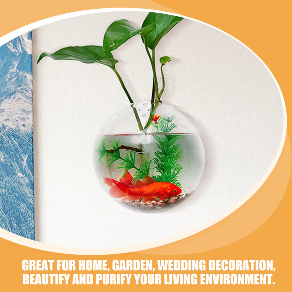 SOLUSTRE Hanging Hydroponic Vase Wall Planter 4pcs Glass Terrariums with Crystal Clay Nail Set Small 10cm Glass Bottles for Indoor Plant Propagation Home Décor