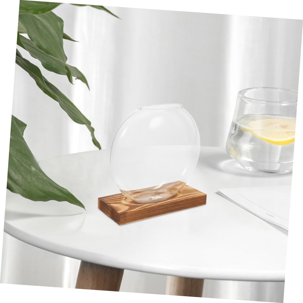 NIYANGLE 2pcs Hydroponic Glass Vase with Wooden Base Small Propagation Station for Indoor Plants and Office Decor Plant Terrarium for Home Window Sill