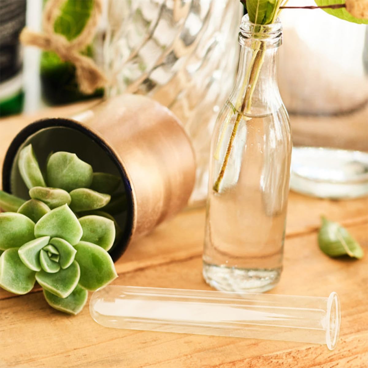 Balacoo 4pcs Hydroponic Glass Test Tube Vases 2.5x3x18cm Glass Planter Tubes for Desktop Plant Propagation and Indoor Terrarium Decoration