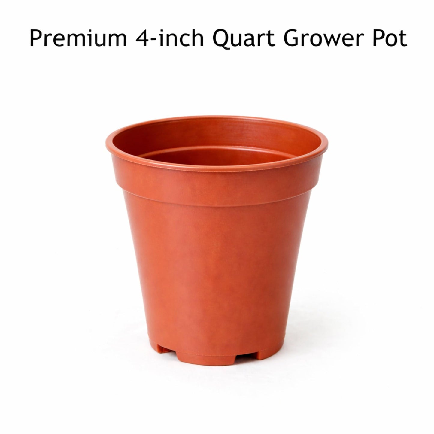 Easy to Grow Houseplants Mix Pack of 4 Full Size Potted Plants - Established & Rooted in 4" Quart Pots, Growers Assorted Mix of Air-Purifying Large Plants (Not Starter Plugs)