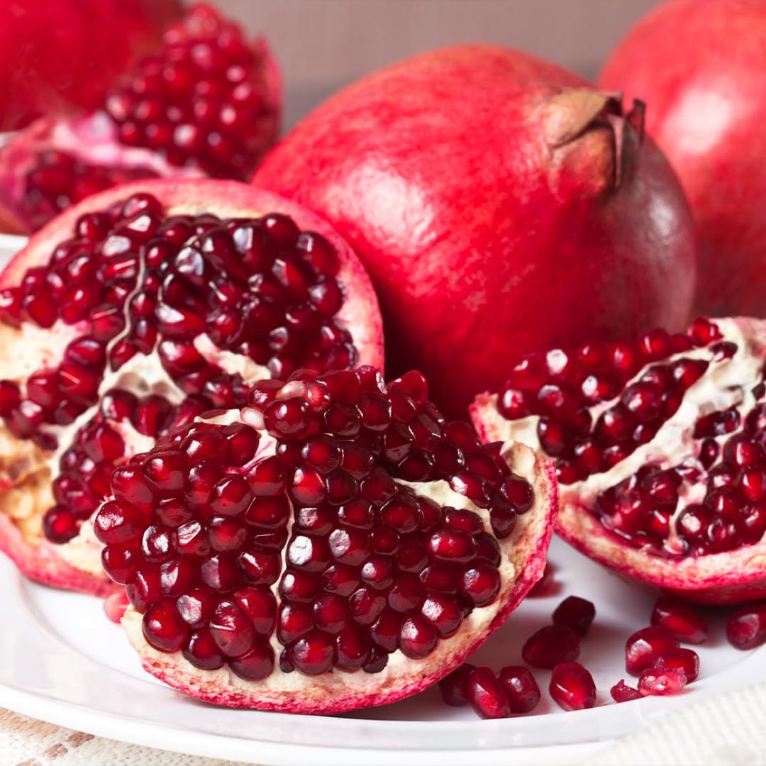 Red Pomegranate Tree Live Plant, Starter Size from 4 to 8 Inc, Sweet Fruit Tropical Plant, Cold Hardy, Spring Planting