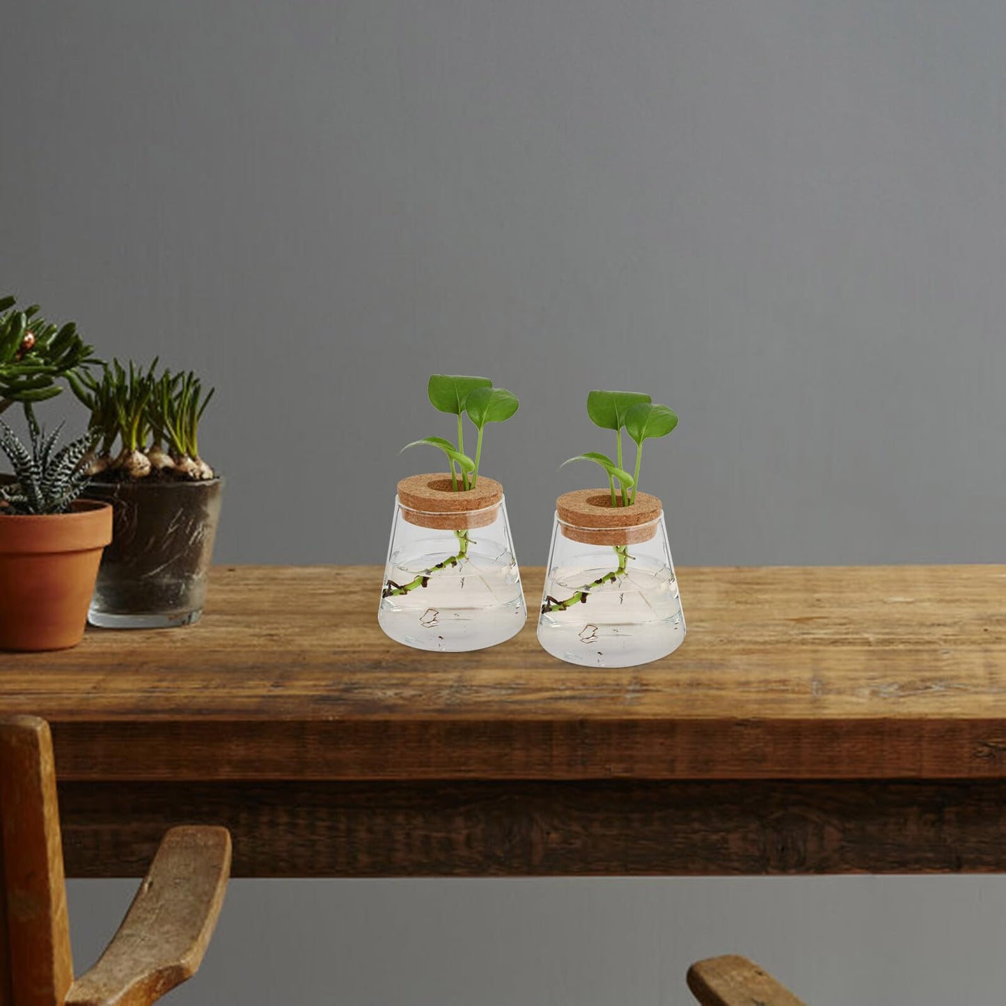 Uonlytech 2pcs Glass Hydroponic Plant Vase Set, 6.5cm Mouth Diameter Glass Planter Pots for Indoor Garden, Office Desk Terrarium, Hydroponics Growing Jar for Home Décor