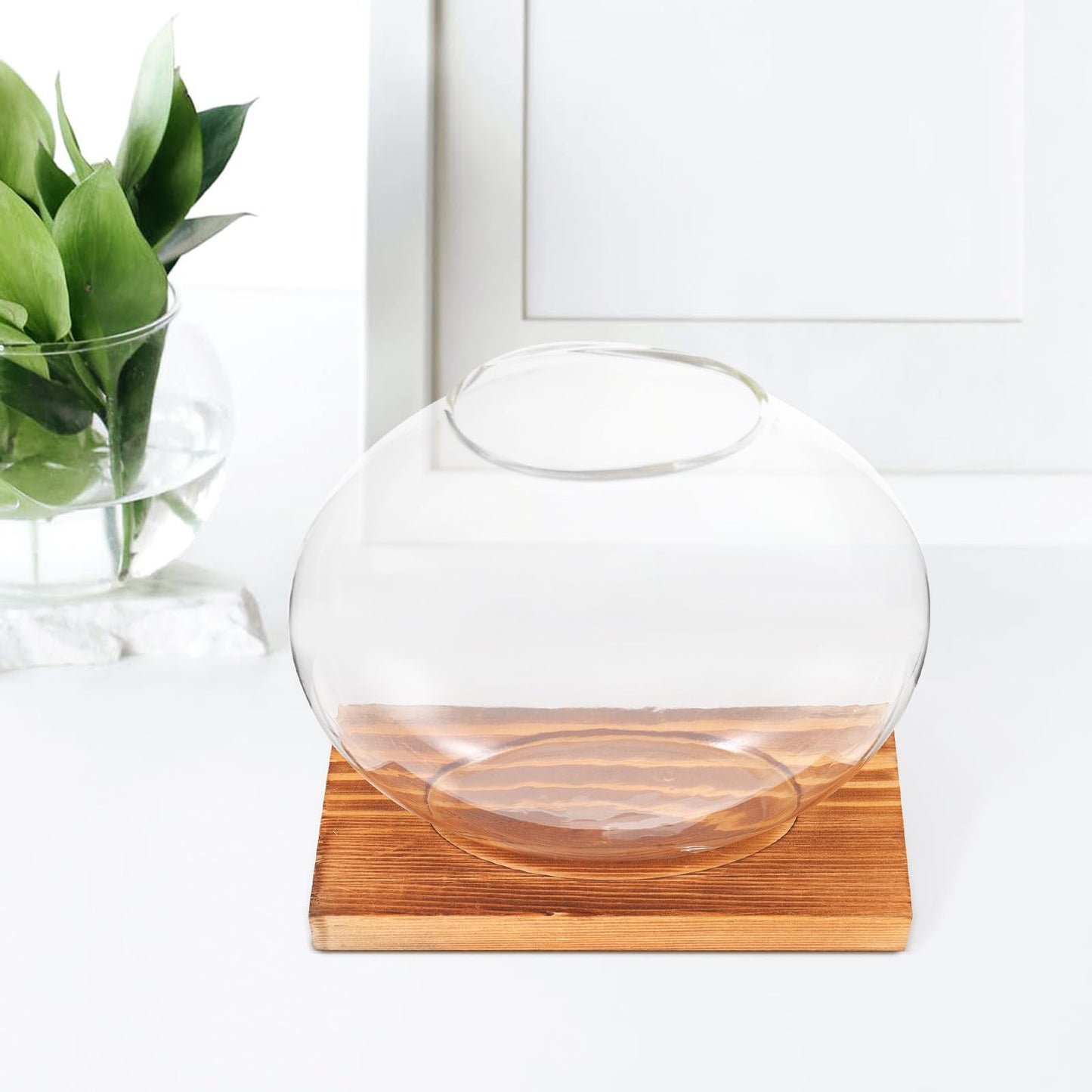 BESPORTBLE Hydroponic Glass Plant Vase with Wood Base, Glass Propagation Station for Desk Decorations, Indoor Home and Office Terrarium Planter for Greenery Display