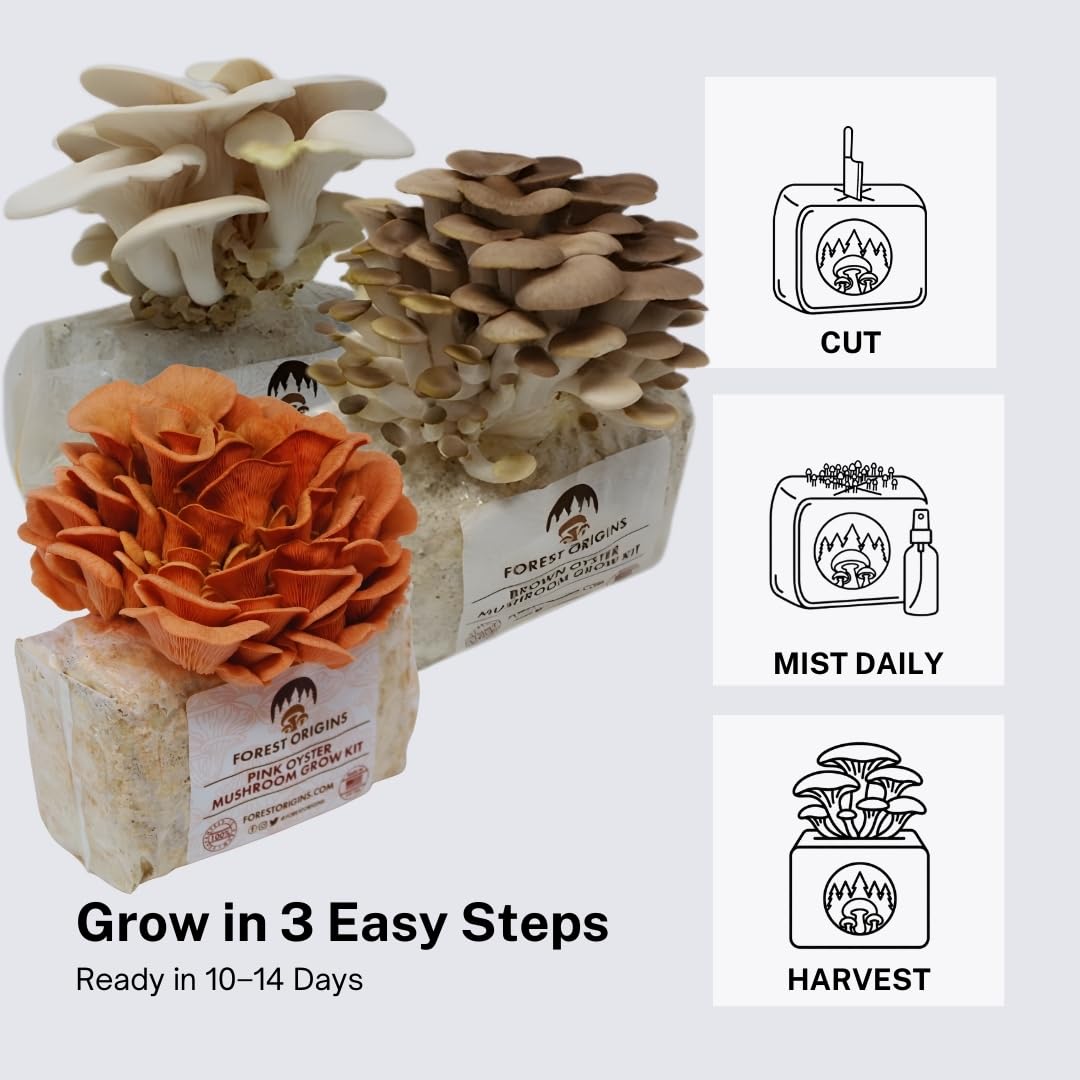 Forest Origins Specialty Trio Oyster Mushroom Grow Kit 3-Pack Variety - Beginner Friendly & Easy to Use, Grows in 10 Days | Handmade in California, USA | Top Gardening Gift, Holiday Gift & Unique Gift