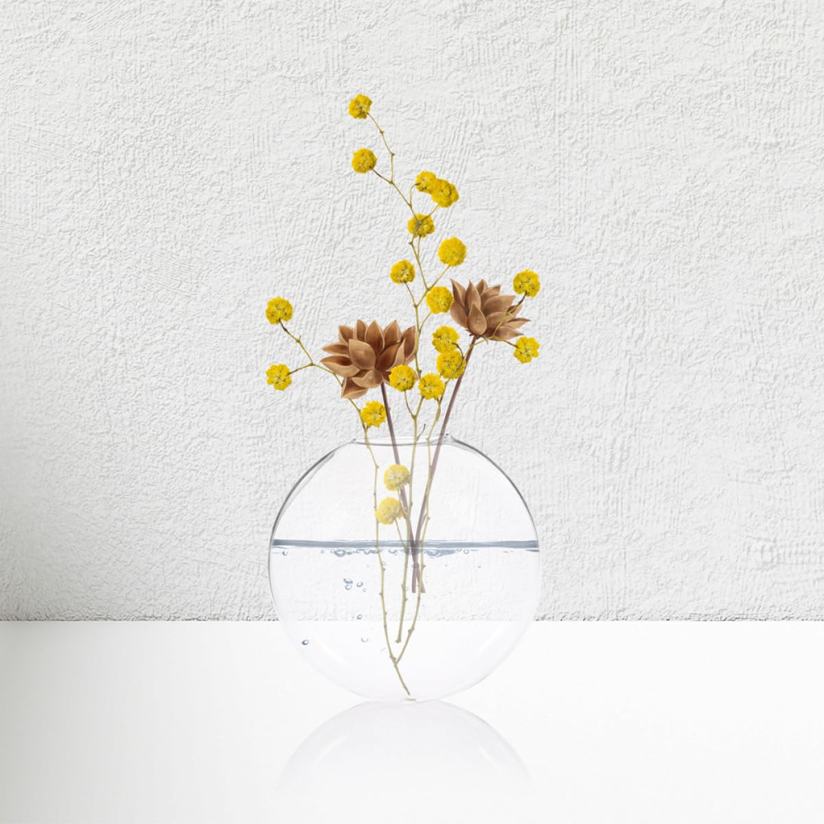 Artibetter 4pcs Wall Hanging Glass Planter Vases for Hydroponic Plants, Glass Terrariums for Indoor Wall-Mounted Plant Decor