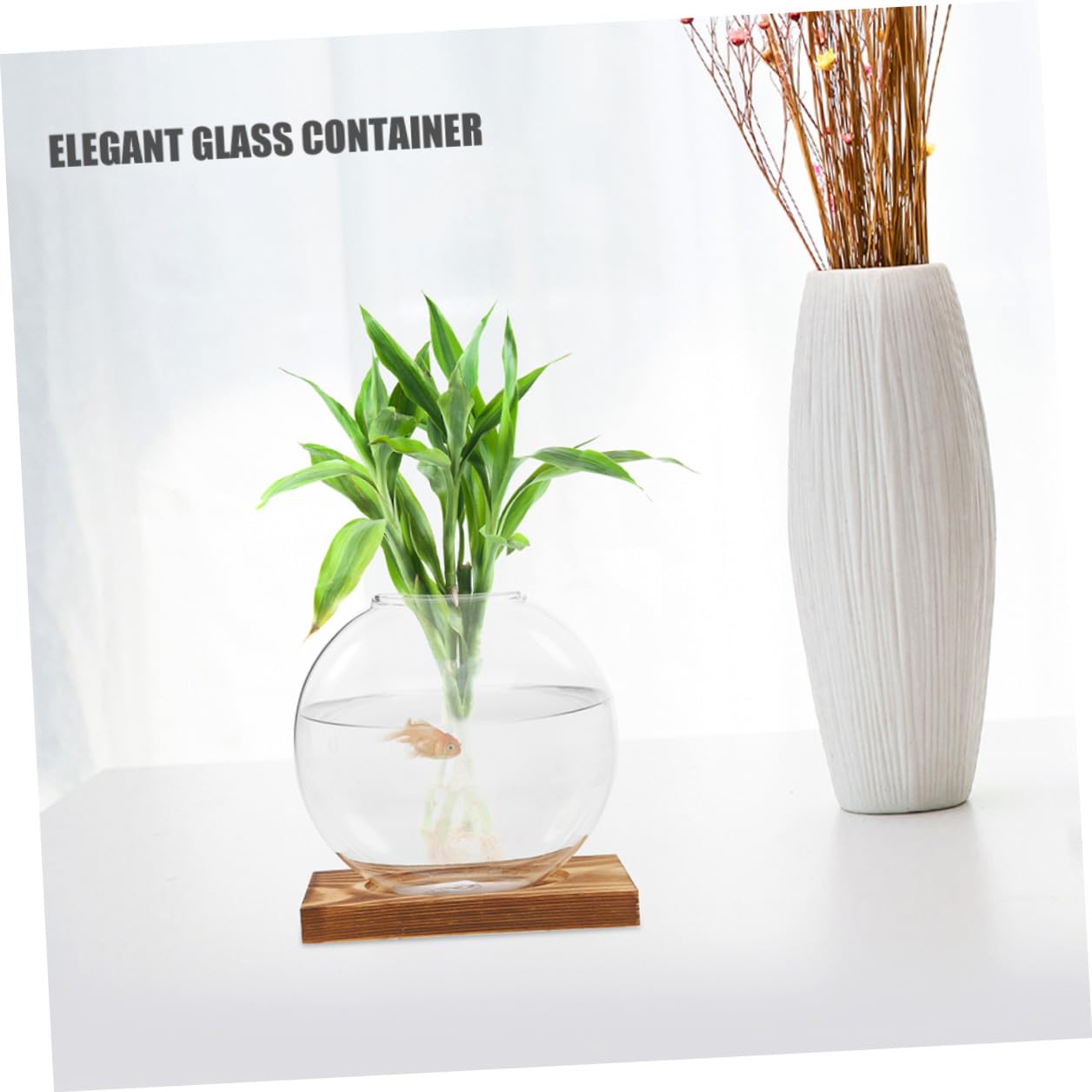 NULYLU 2Pcs Glass Plant Propagation Vases with Wooden Base, Hydroponic Terrarium Containers for Indoor Plants, Desktop Flower Vase Decor for Home and Office