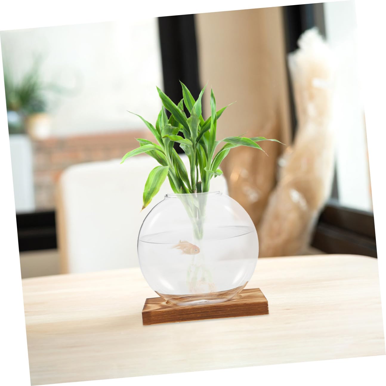 BESPORTBLE 2pcs Hydroponic Plant Propagation Vessels with Wooden Stand, Glass Containers for Home and Office, Plant Terrariums for Shelf Display and Indoor Gardening