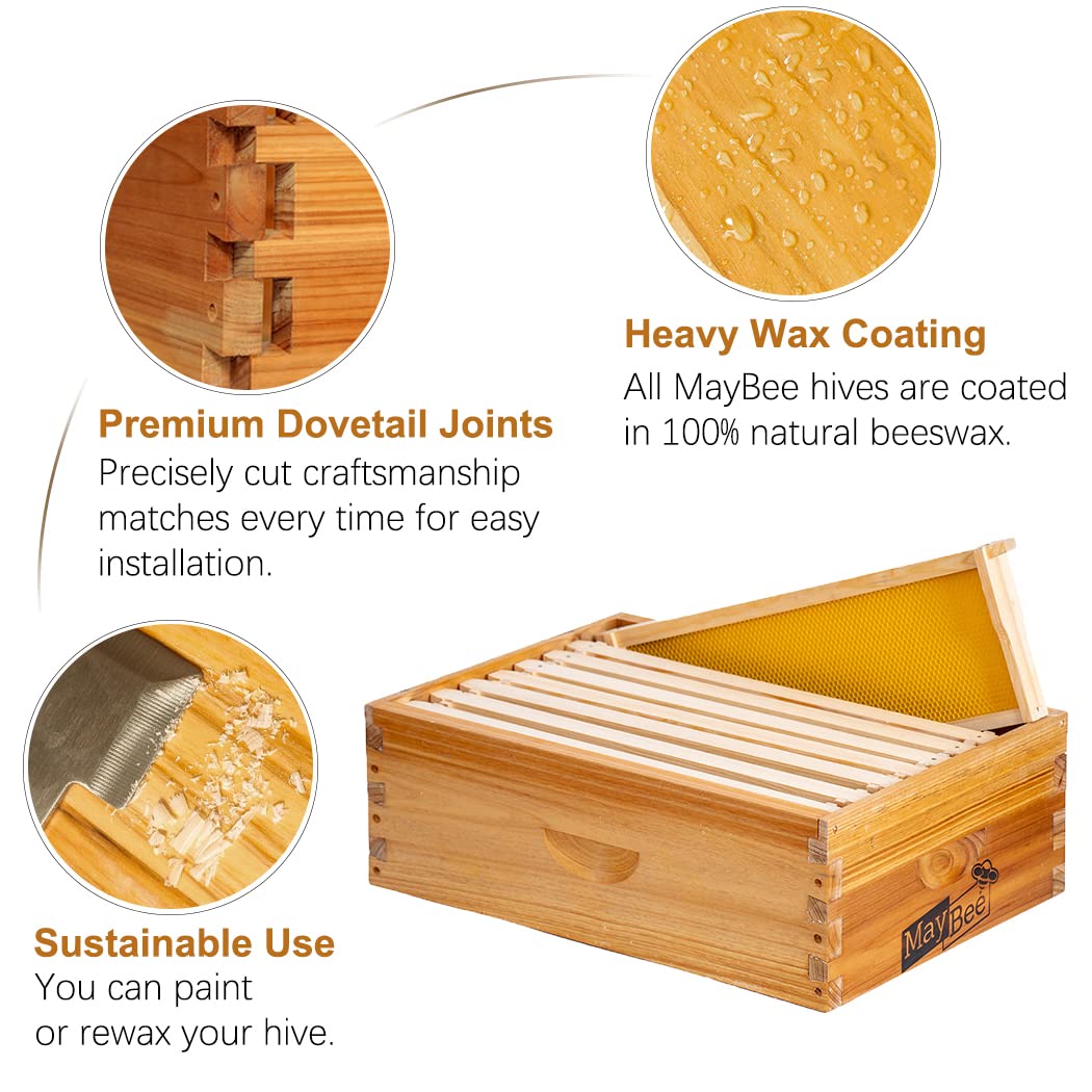 8-Frame Beehive Box Langstroth Medium Super Bee Box for Sale Wax Coated Bee Hives Includes Wooden Frames & Waxed Foundations (Unassembled)