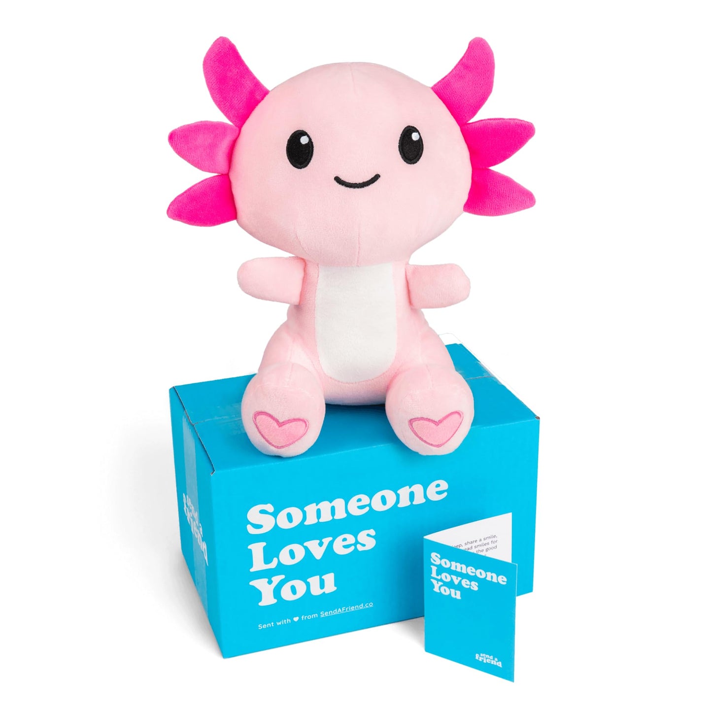 SendAFriend Alex The Axolotl Stuffed Animal Care Package, Someone Loves You Box, Great Gift for Any Reason (Miss You Notecard)